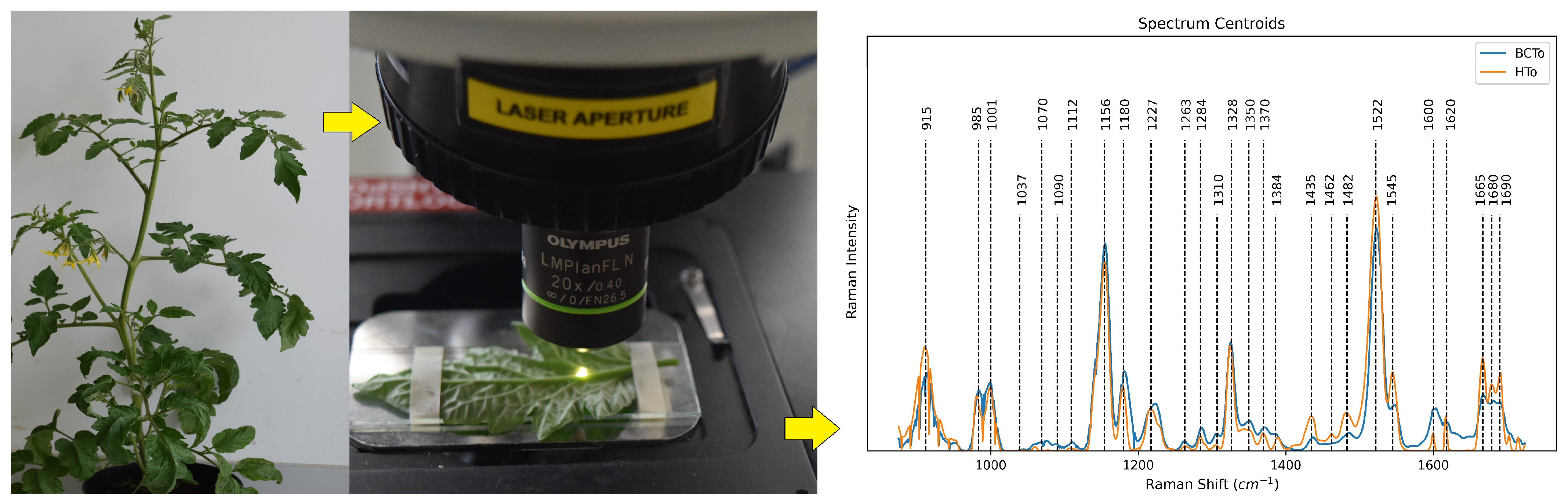 Chemosensors 12 00140 g010