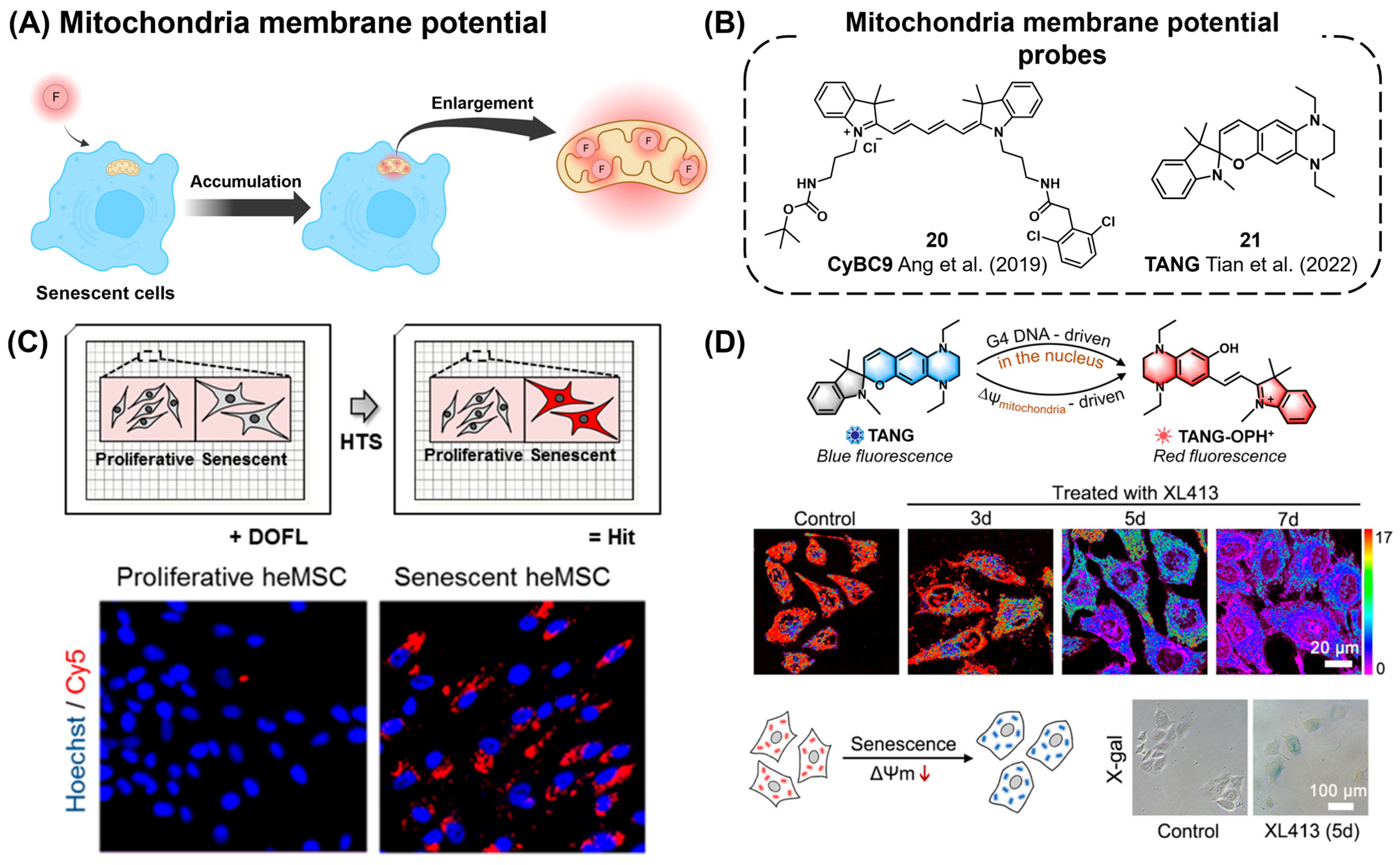 Chemosensors 12 00141 g008