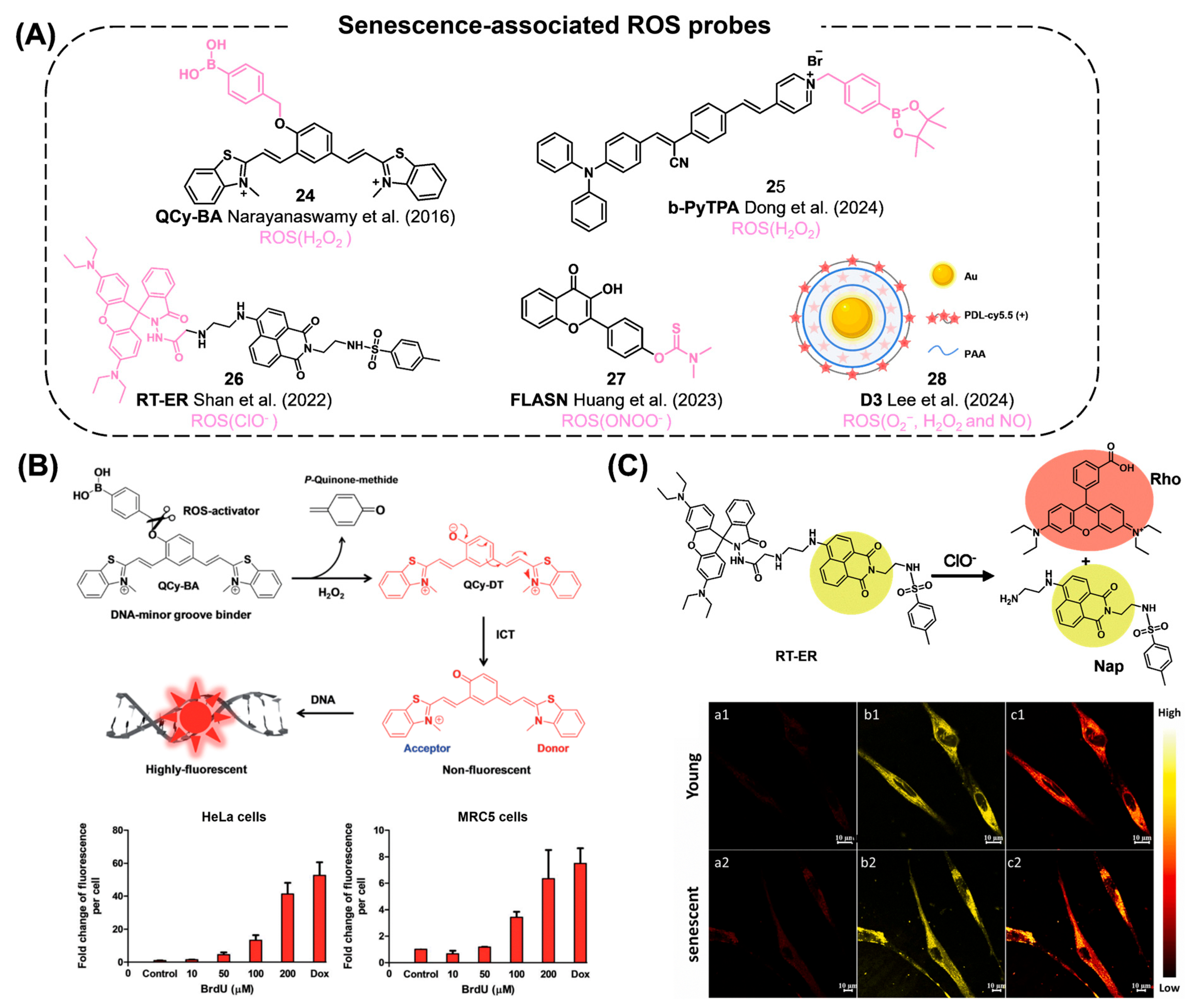 Chemosensors 12 00141 g010