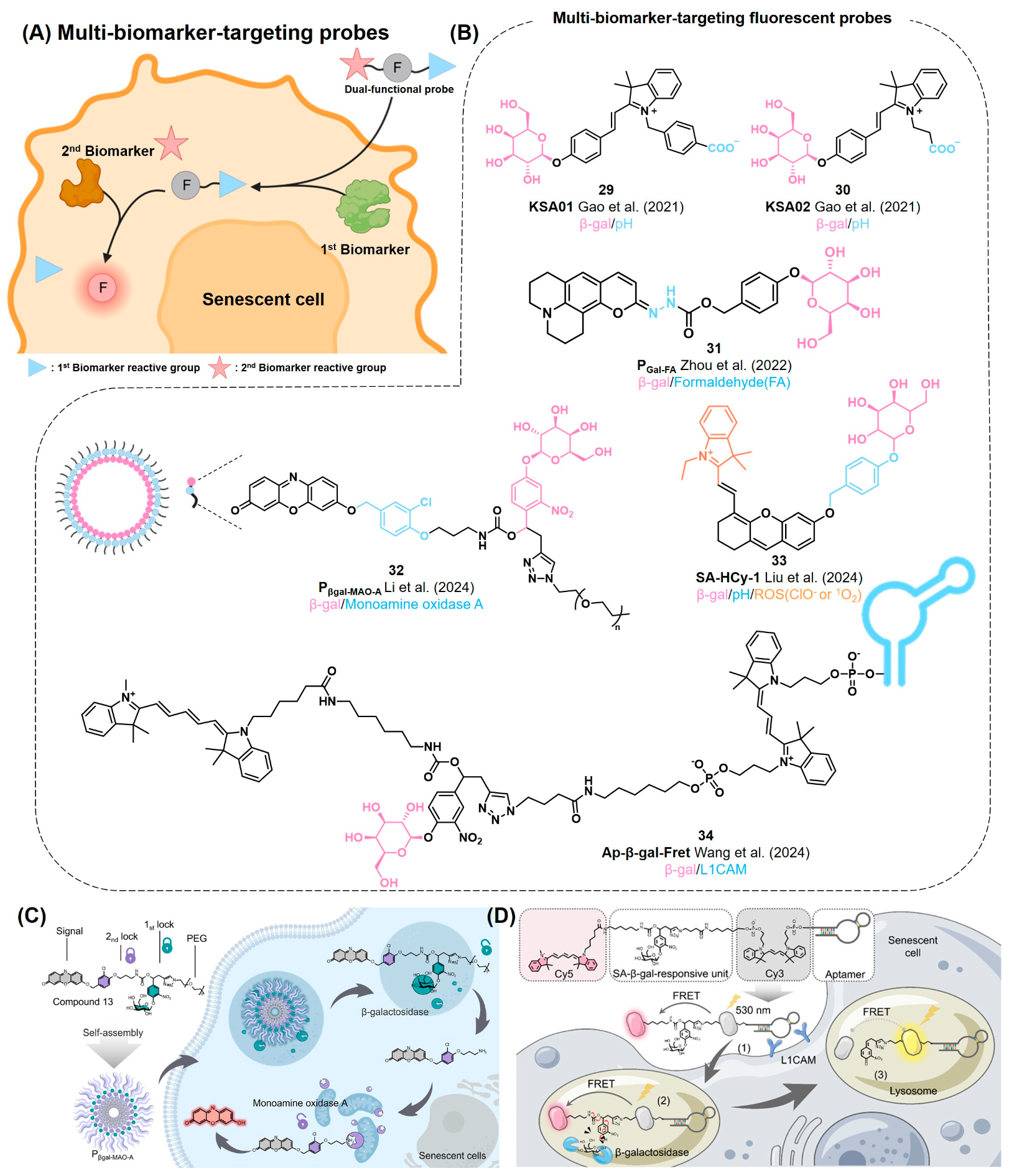 Chemosensors 12 00141 g011