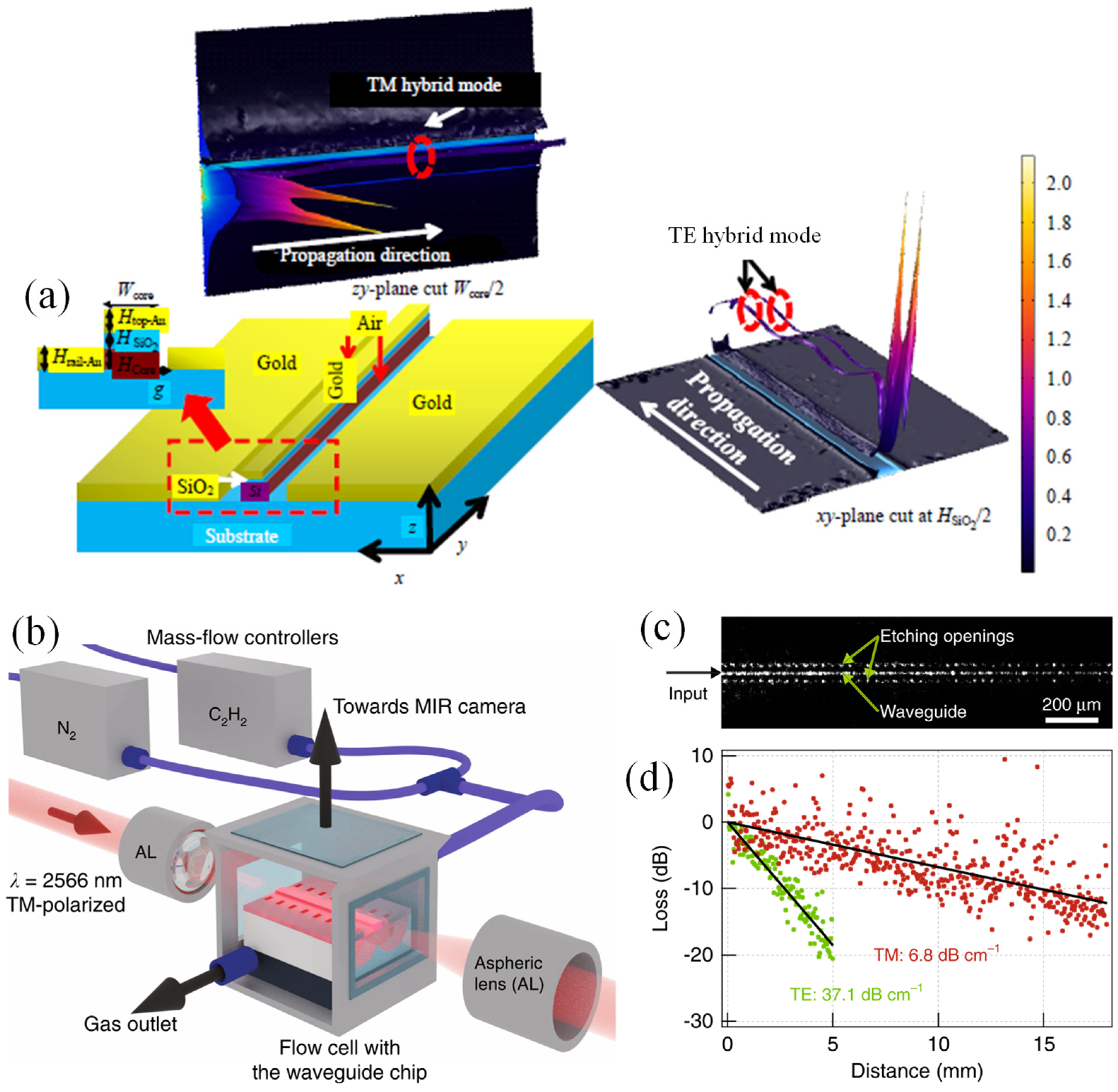Chemosensors 12 00143 g004