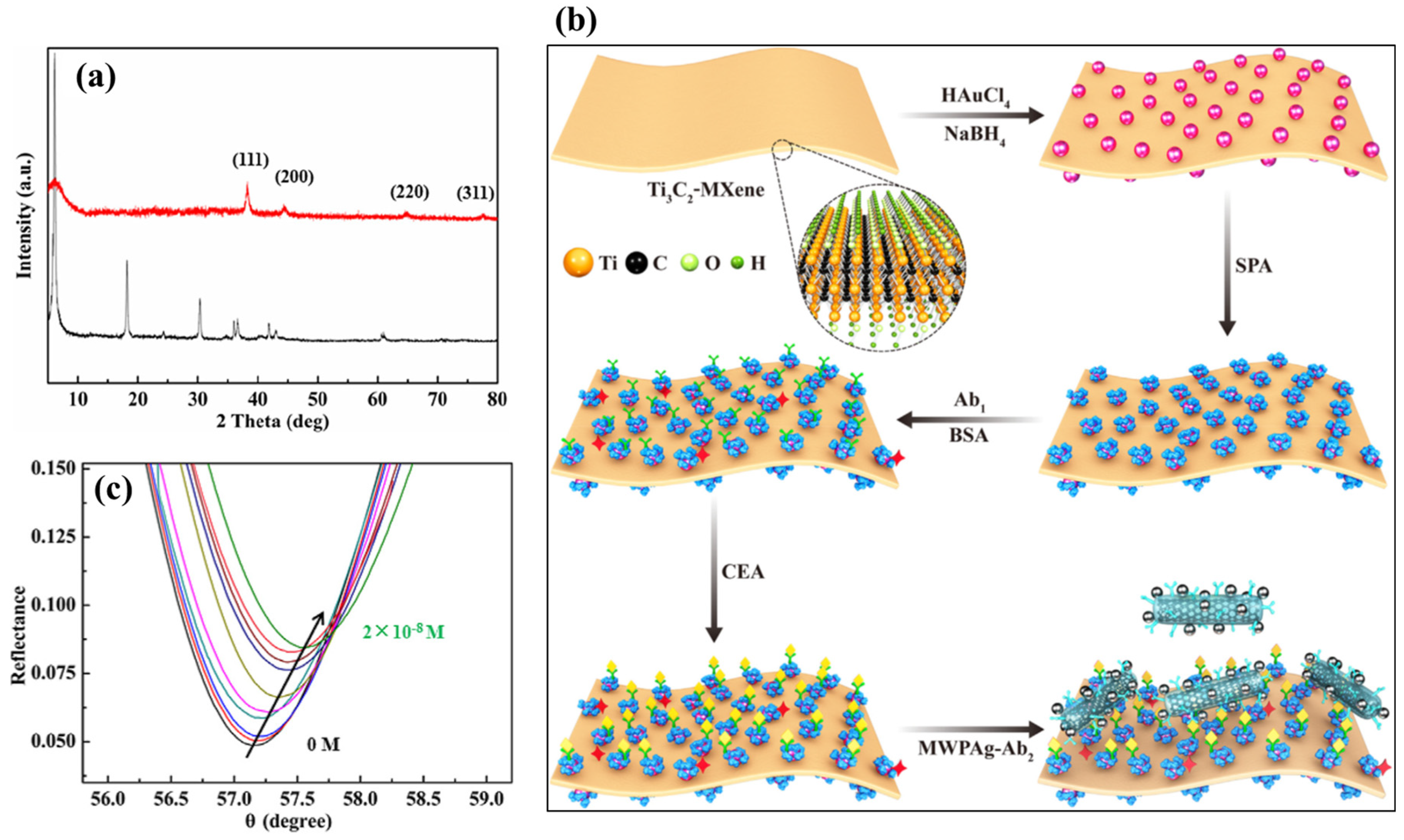 Chemosensors 12 00147 g015