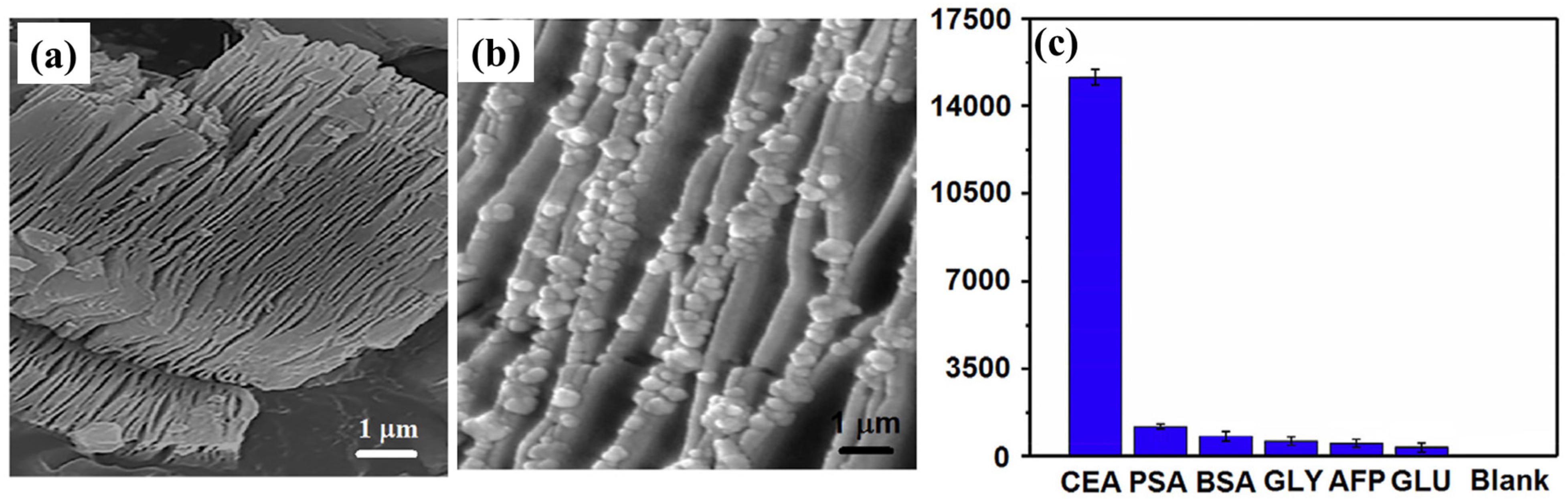 Chemosensors 12 00147 g016