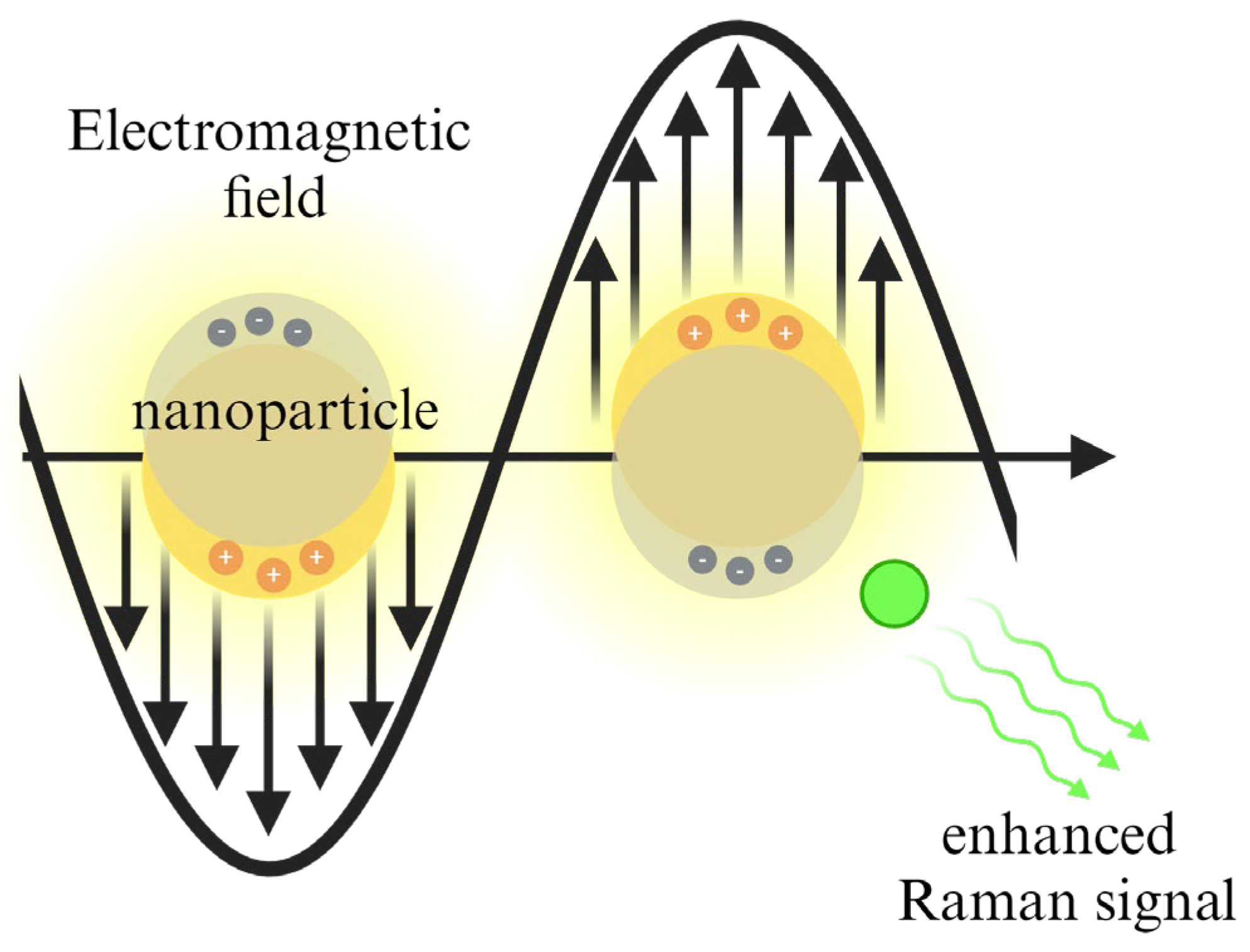 Recent Strategies for MicroRNA Detection: A Comprehensive
