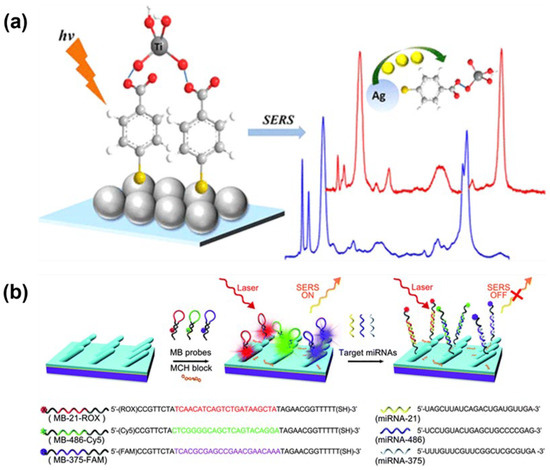 Recent Strategies for MicroRNA Detection: A Comprehensive