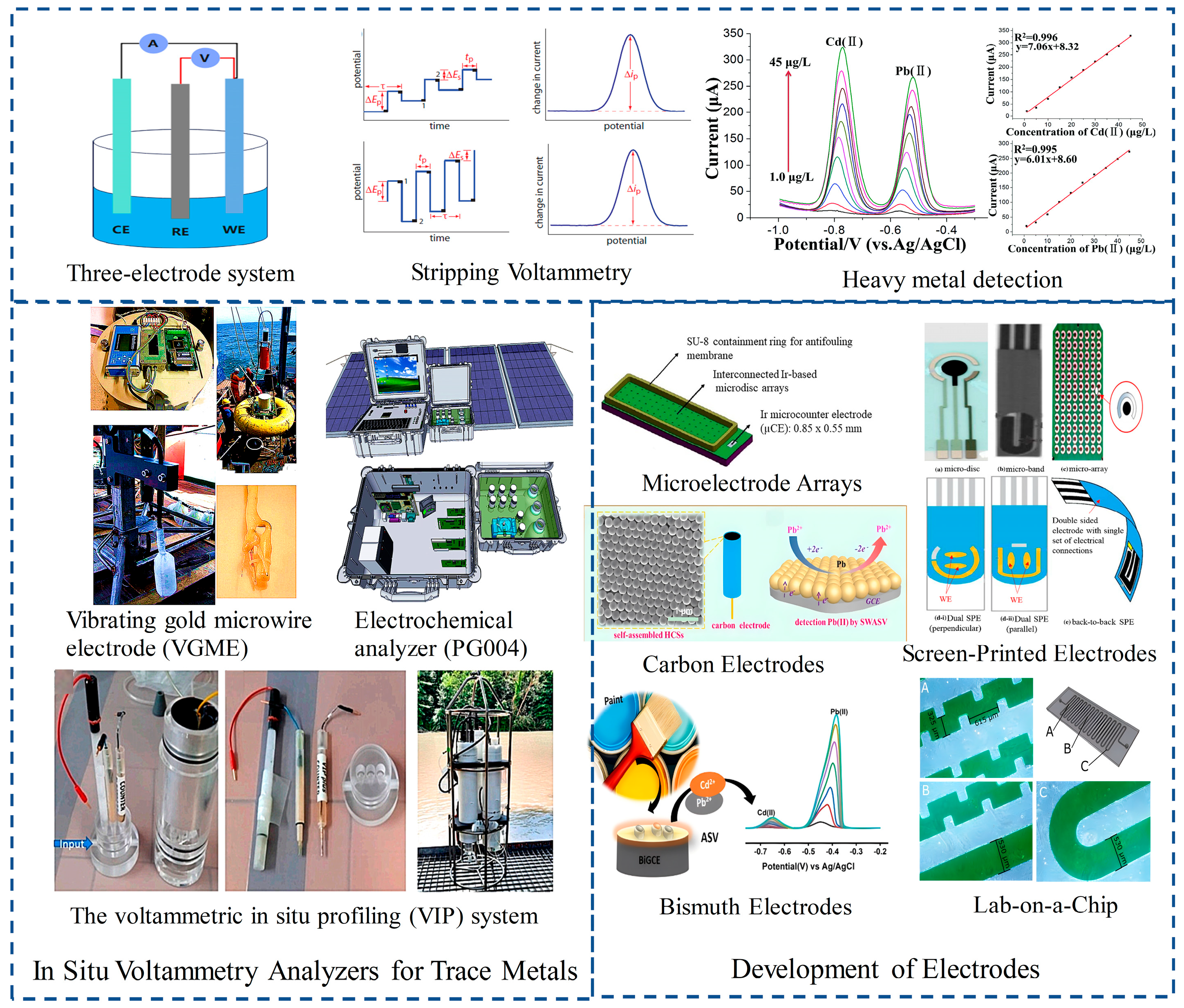 Chemosensors 12 00158 g001