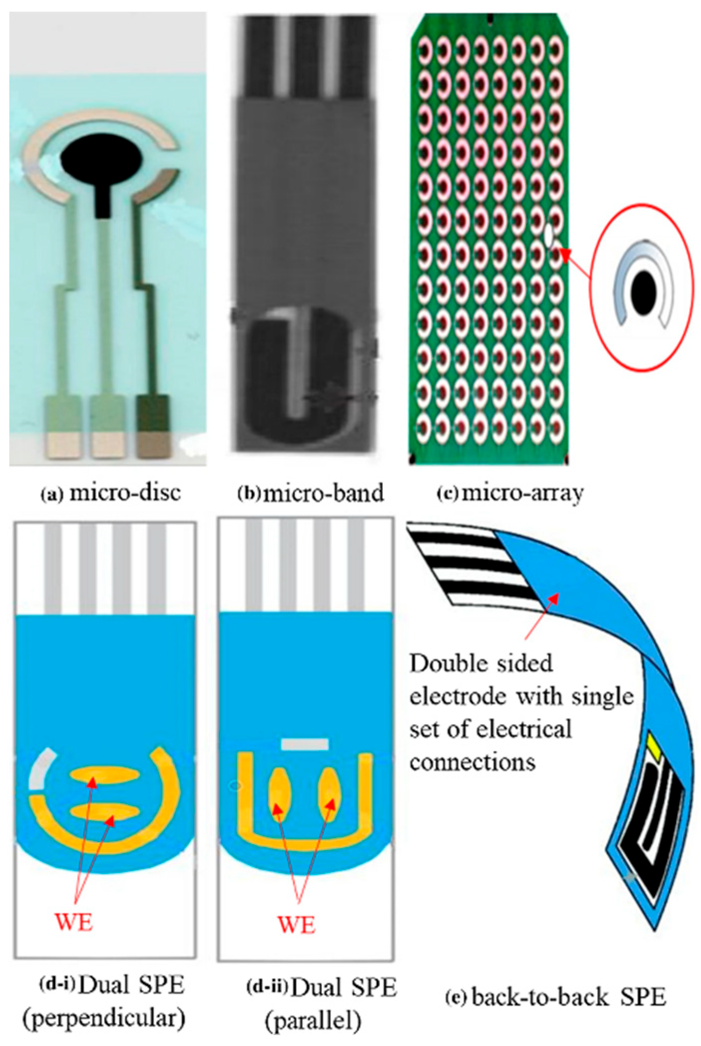 Chemosensors 12 00158 g006
