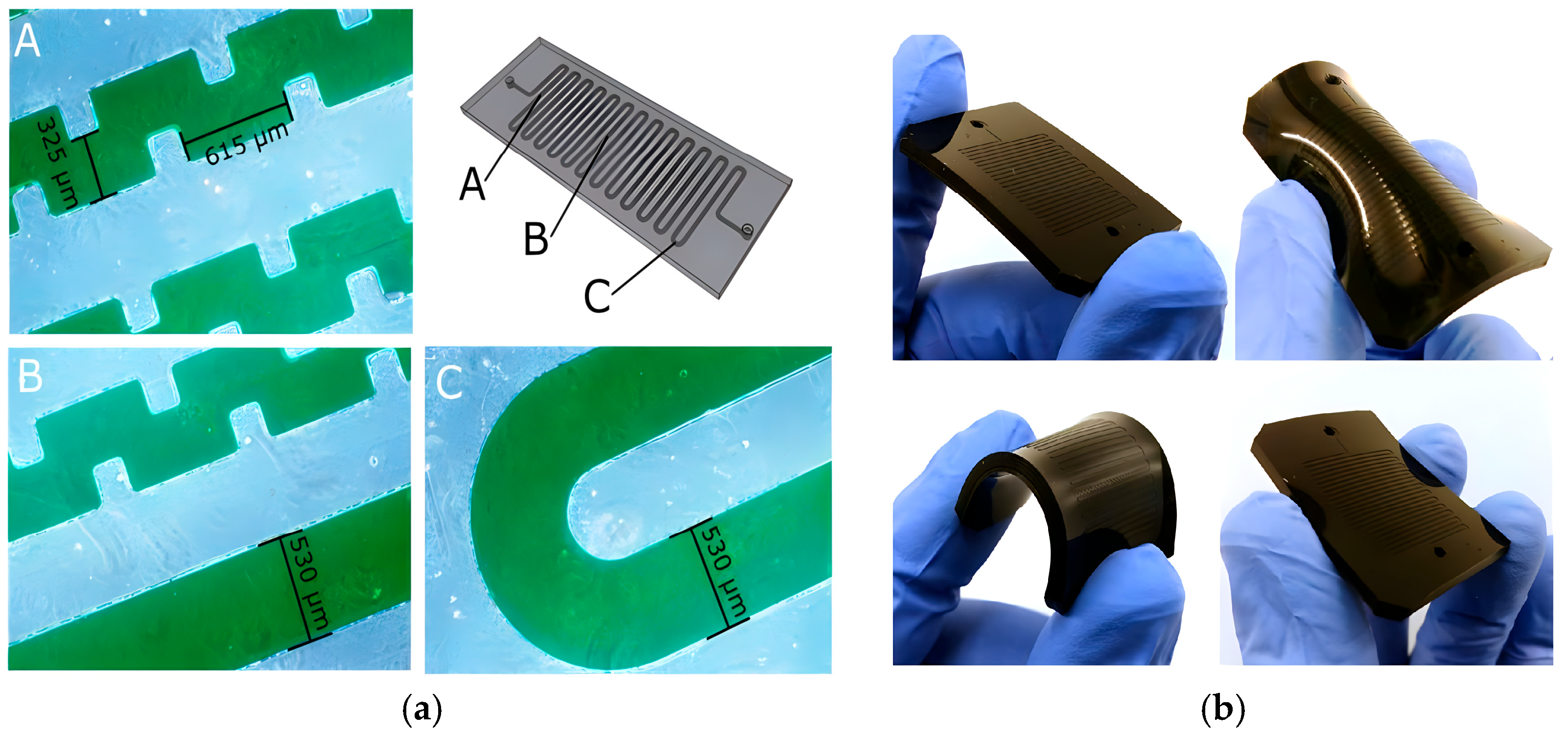 Chemosensors 12 00158 g009
