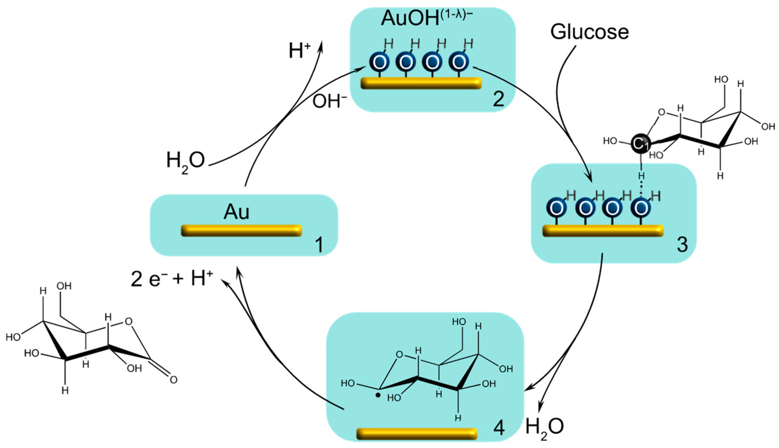 Chemosensors 12 00159 g005