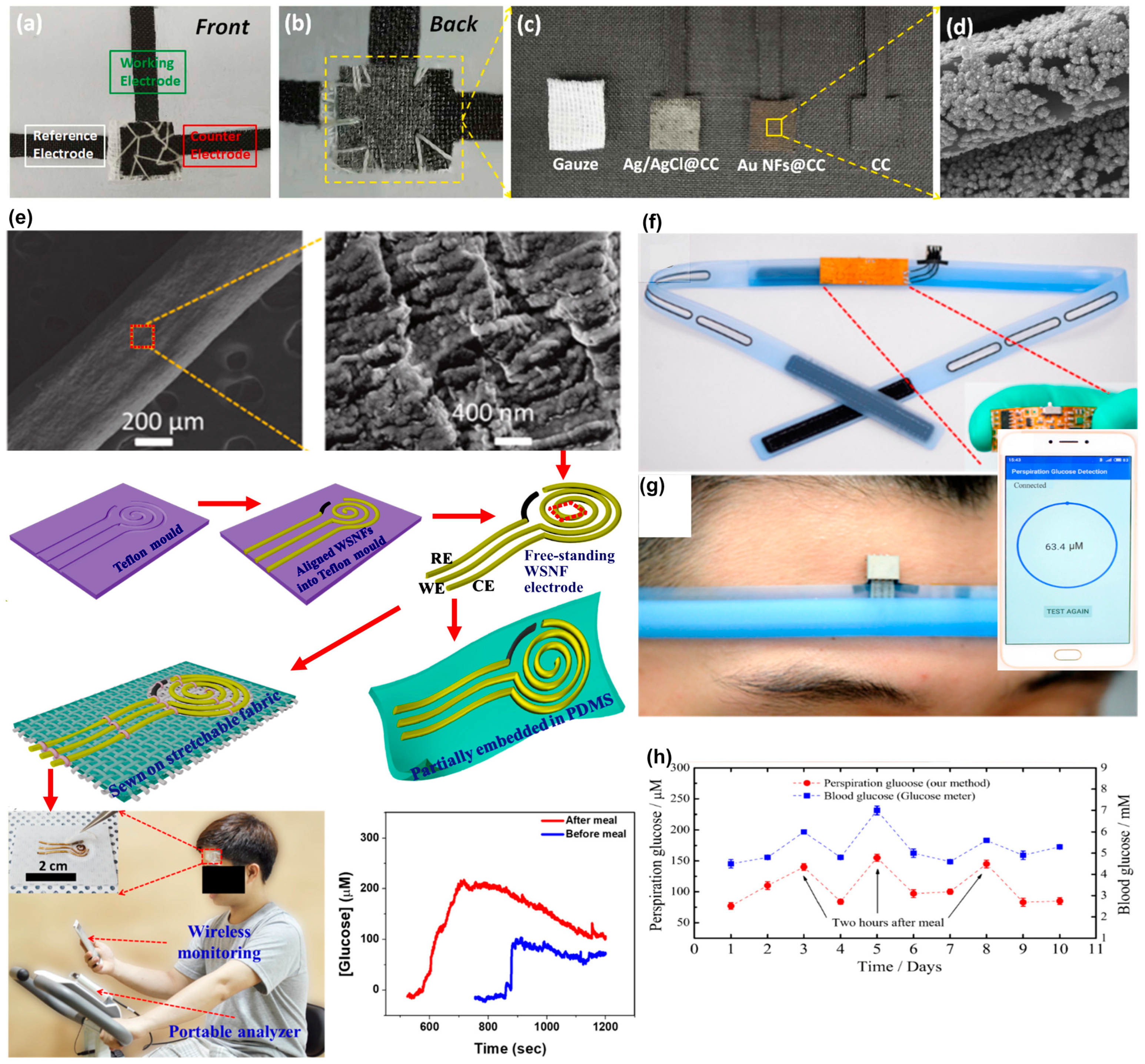 Chemosensors 12 00159 g012