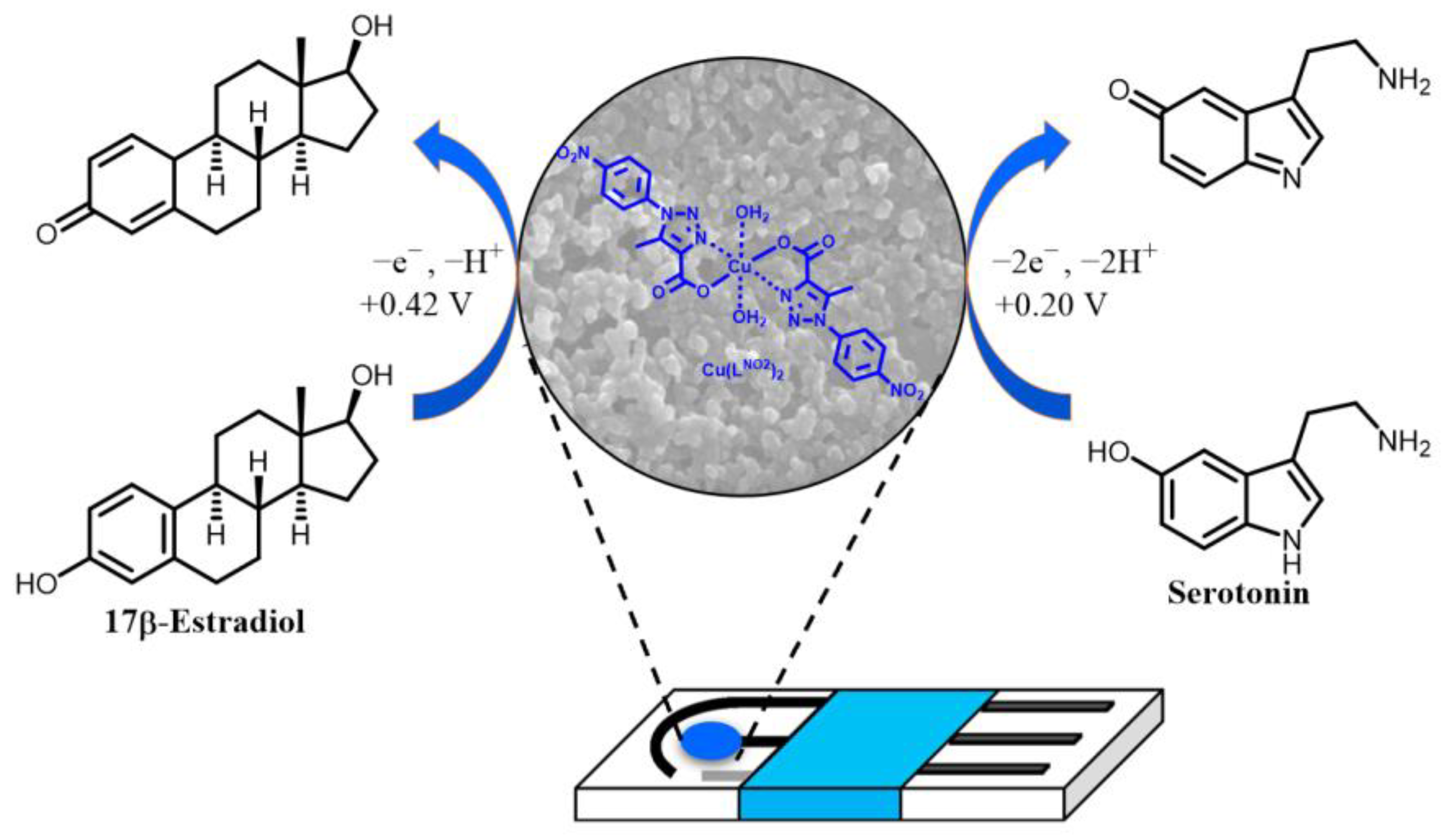 Chemosensors 12 00164 g007