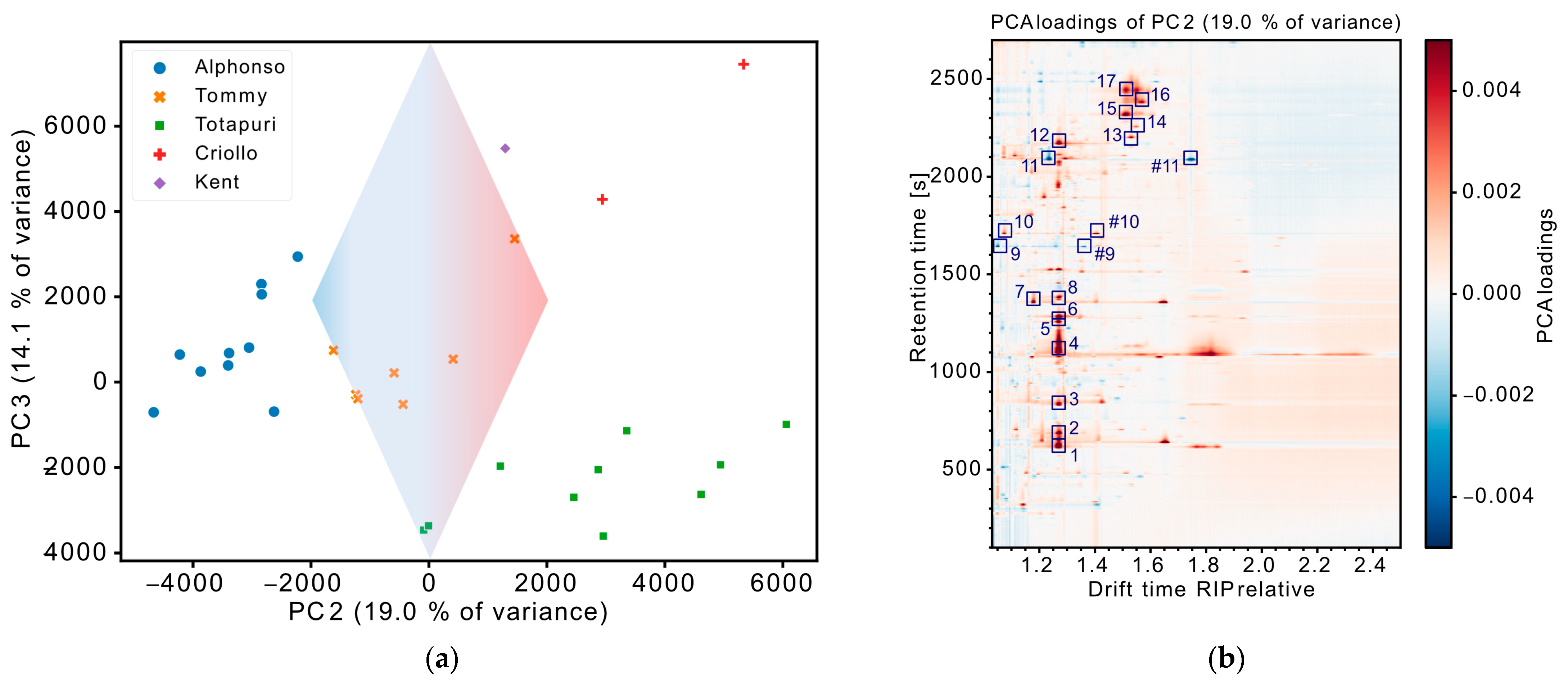 Chemosensors 12 00165 g003