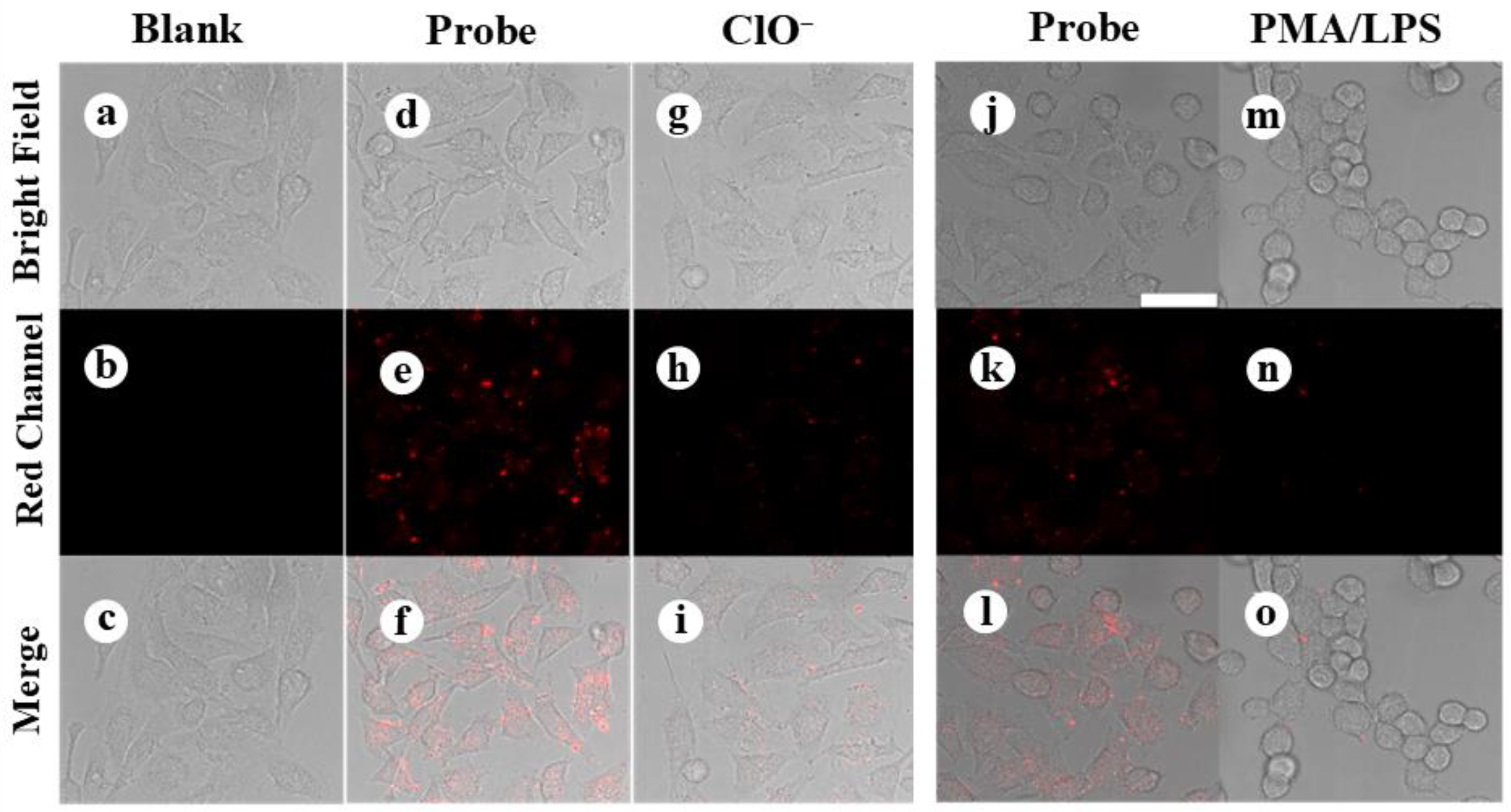 Chemosensors 12 00166 g005 Chemosensors 12 00166 g005