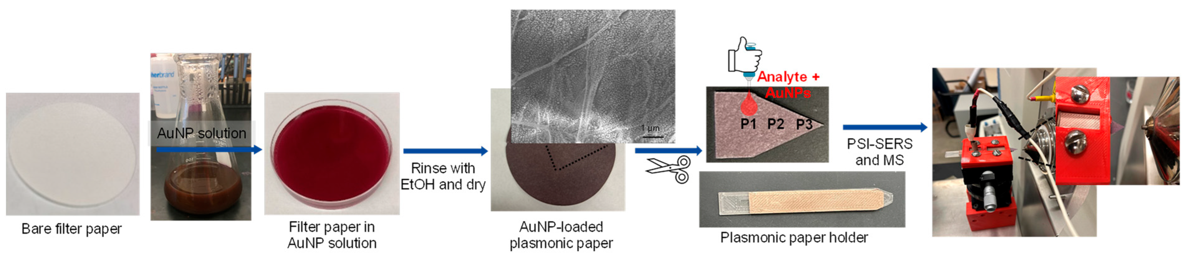 Chemosensors 12 00175 g002