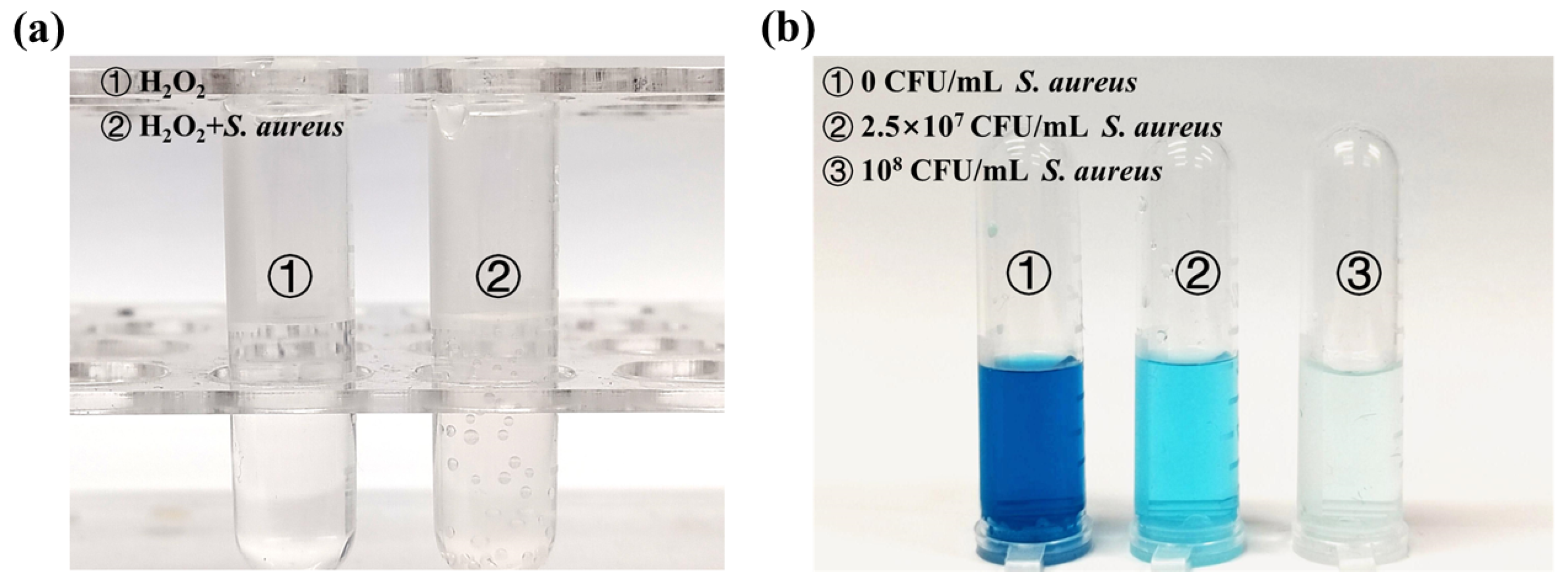 Chemosensors 12 00176 g004