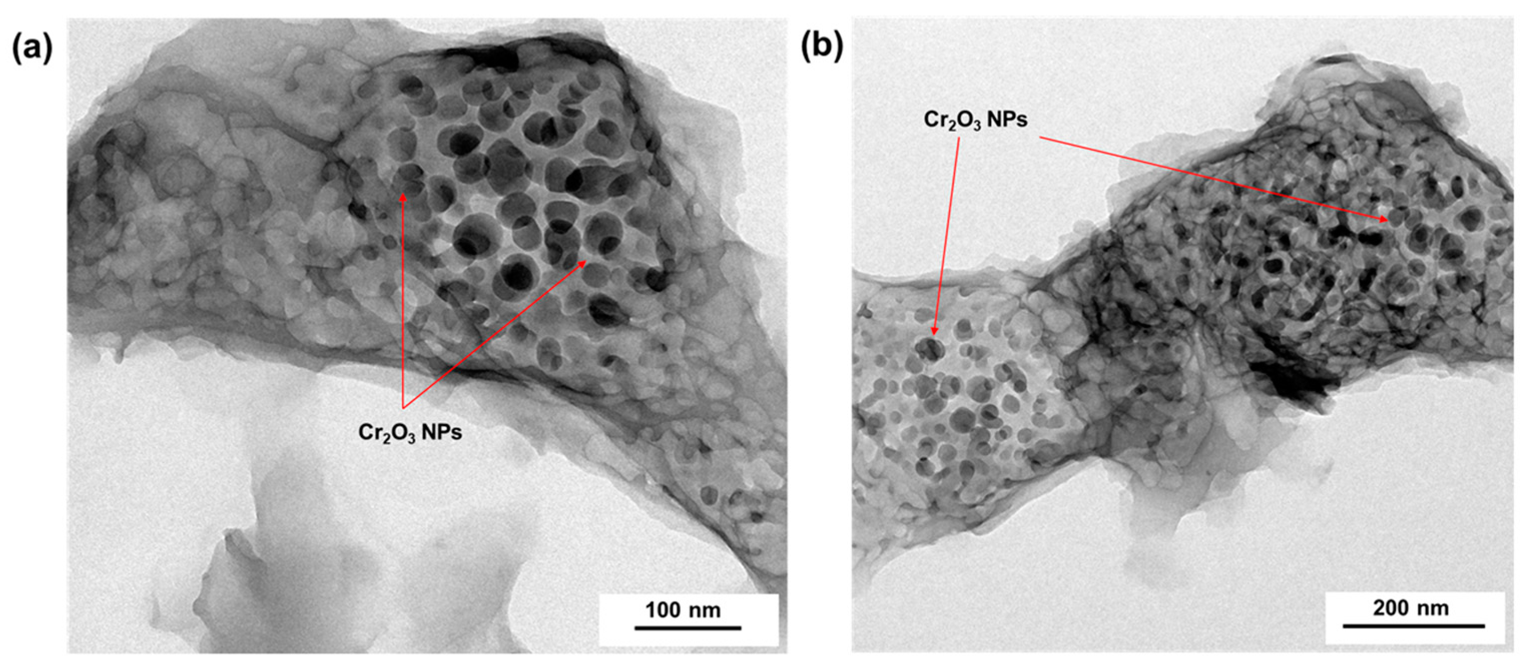 Chemosensors 12 00180 g006