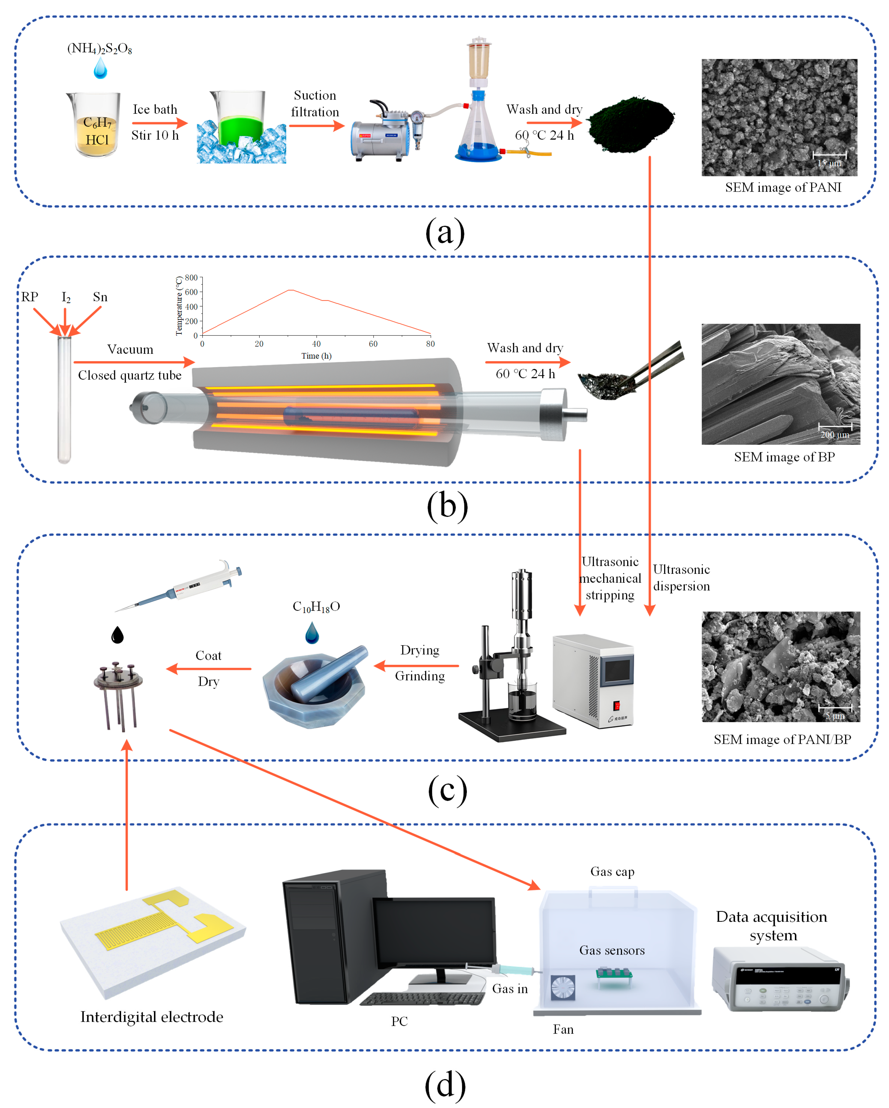 Chemosensors 12 00181 g001