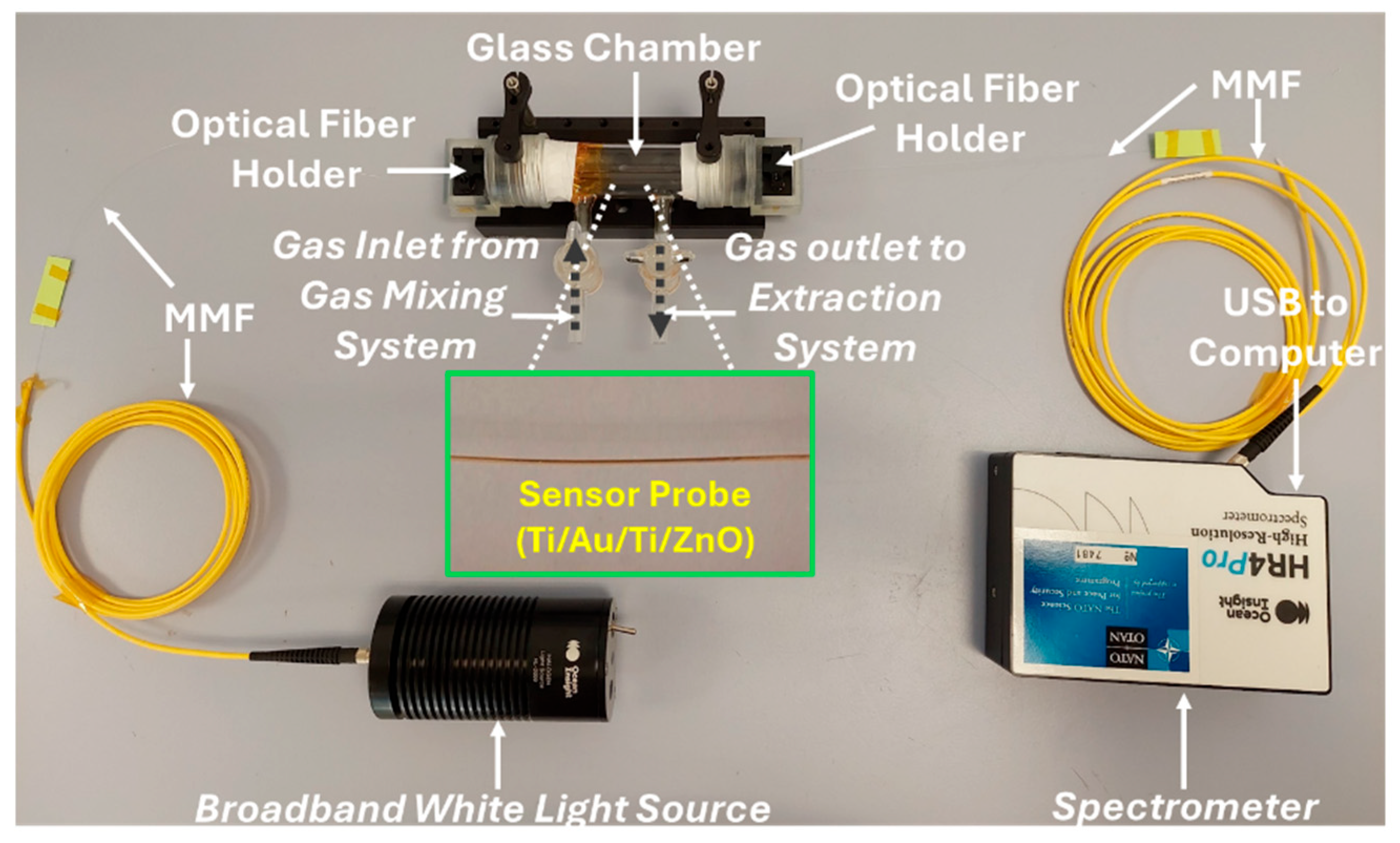 Chemosensors 12 00185 g015