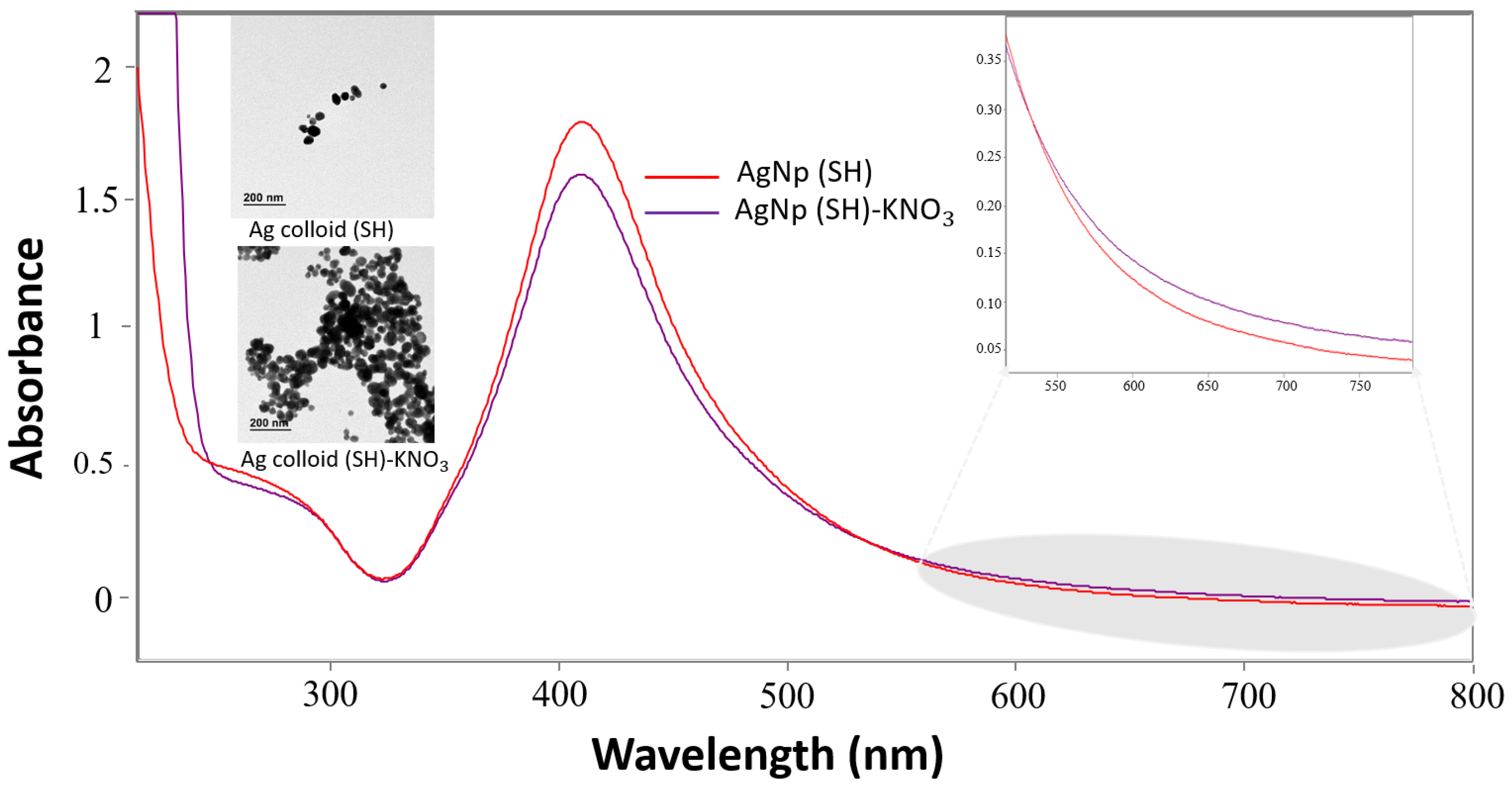 Chemosensors 12 00186 g002
