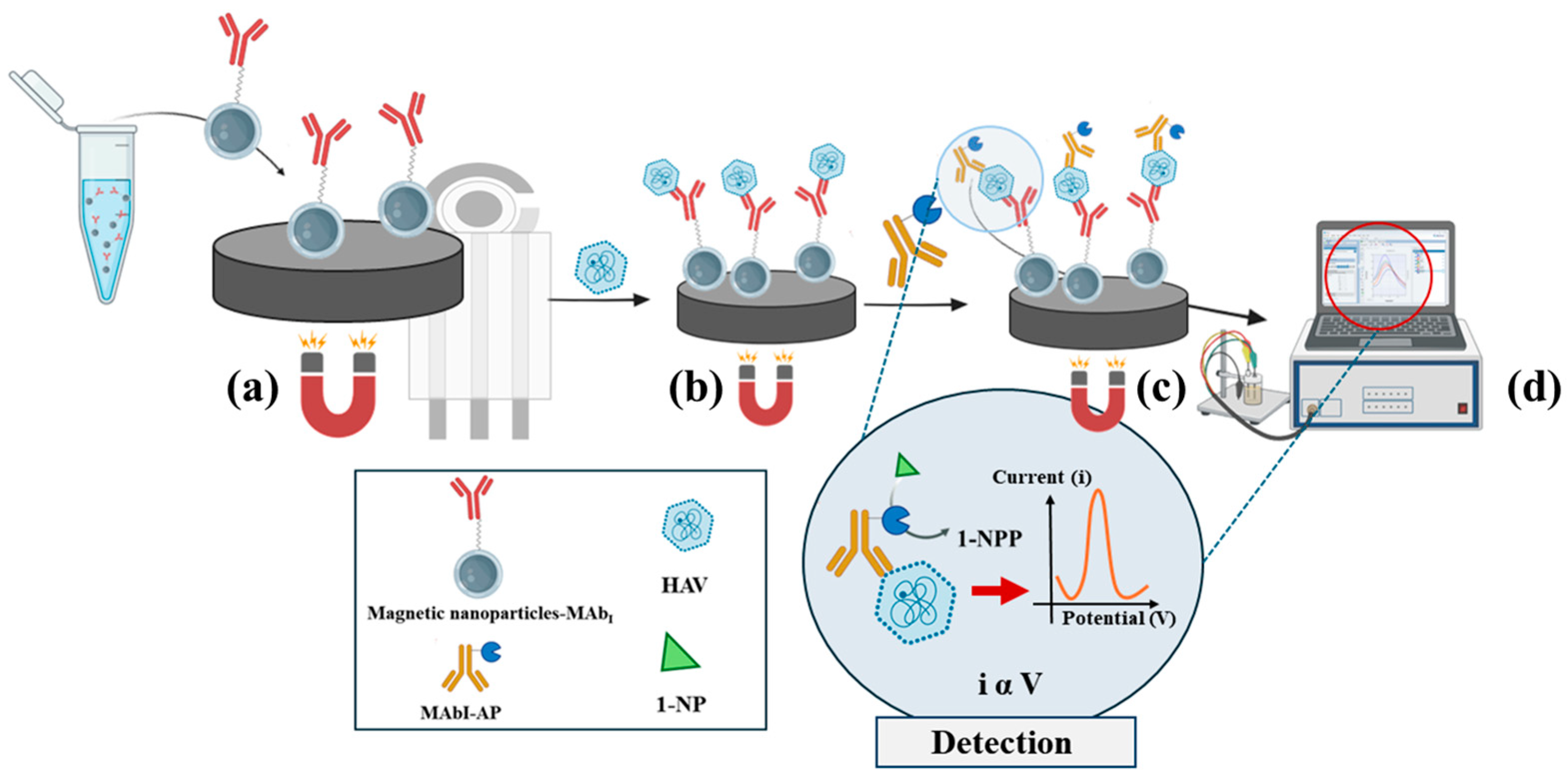 Chemosensors 12 00188 g003 Chemosensors 12 00188 g003