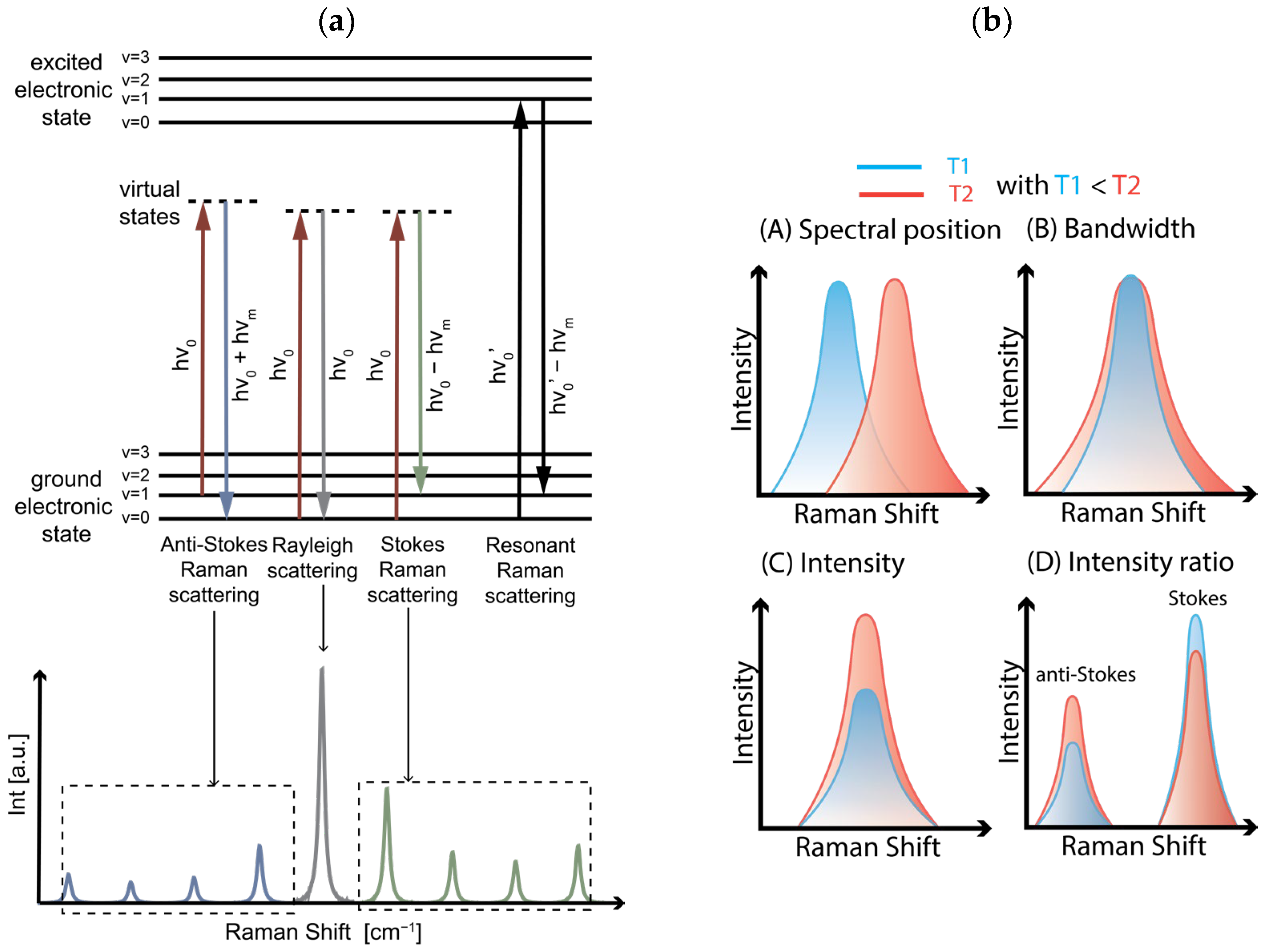 Chemosensors 12 00191 g001