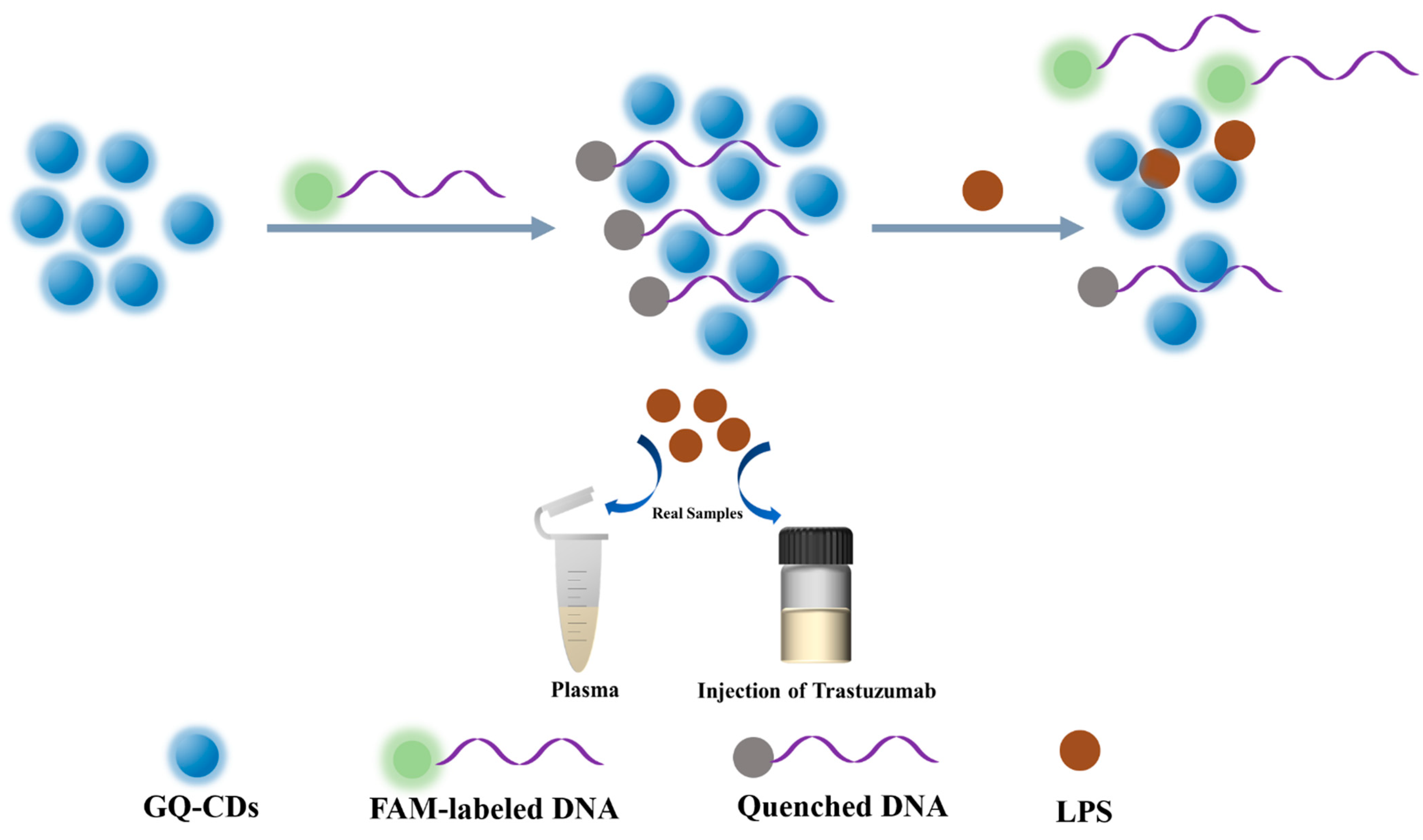 Chemosensors 12 00201 sch001