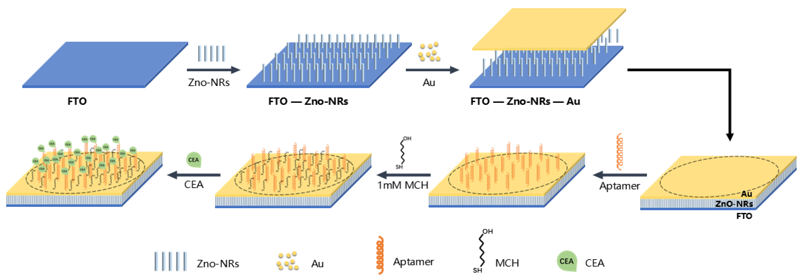 Chemosensors 12 00203 g001