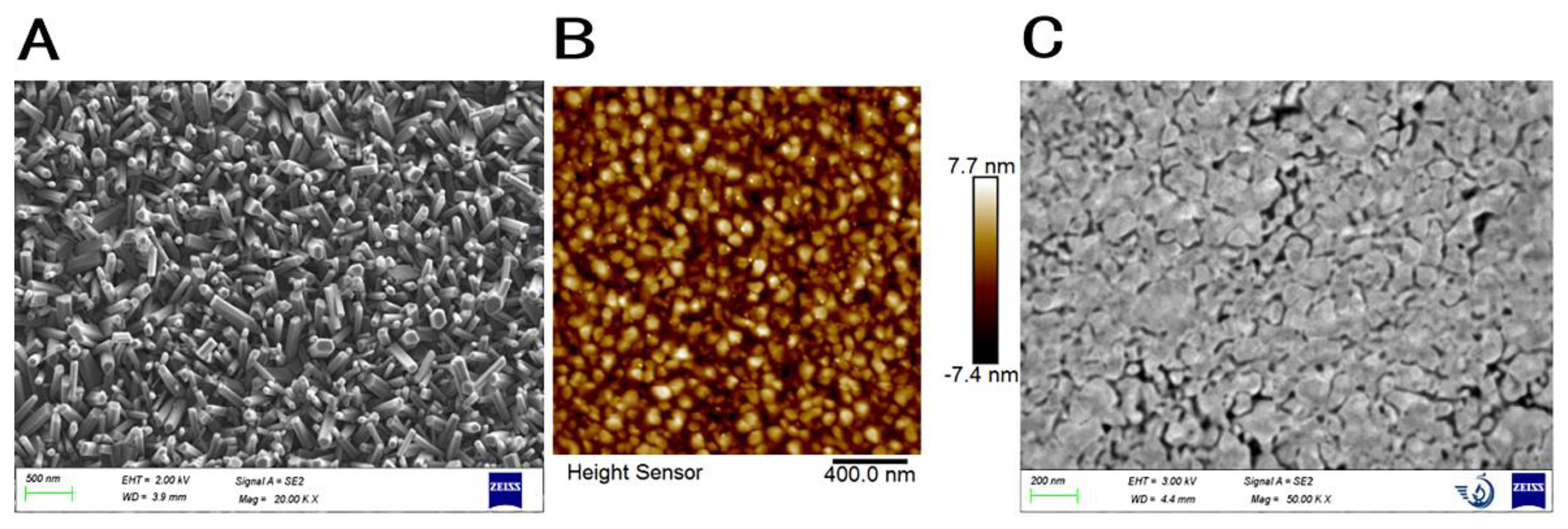 Chemosensors 12 00203 g002