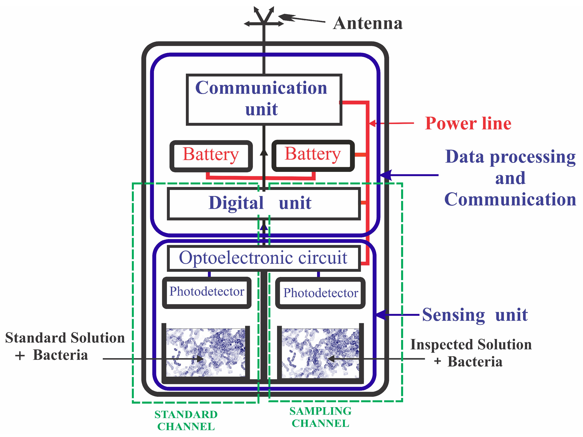 Chemosensors 12 00207 g001