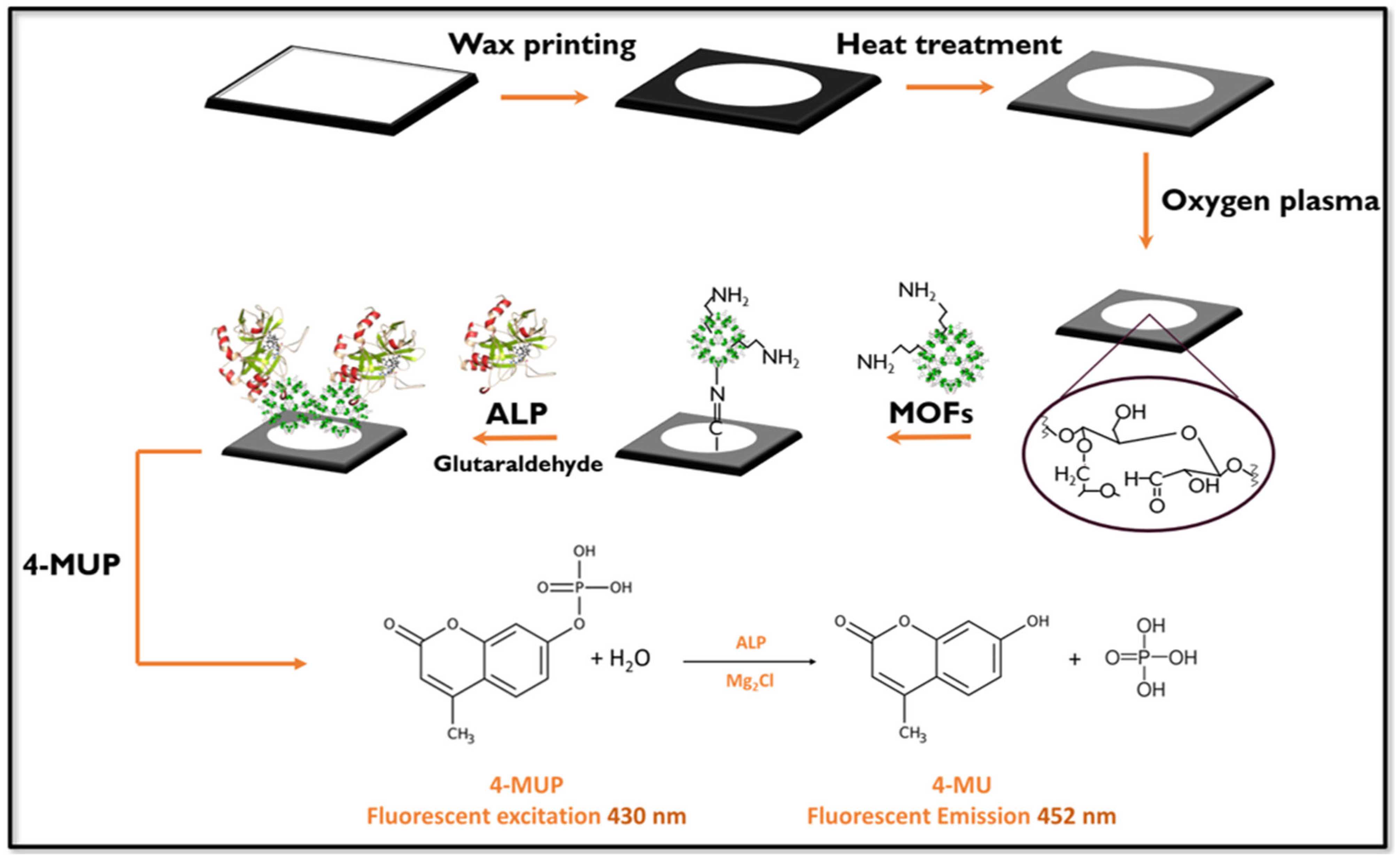 Chemosensors 12 00208 g001