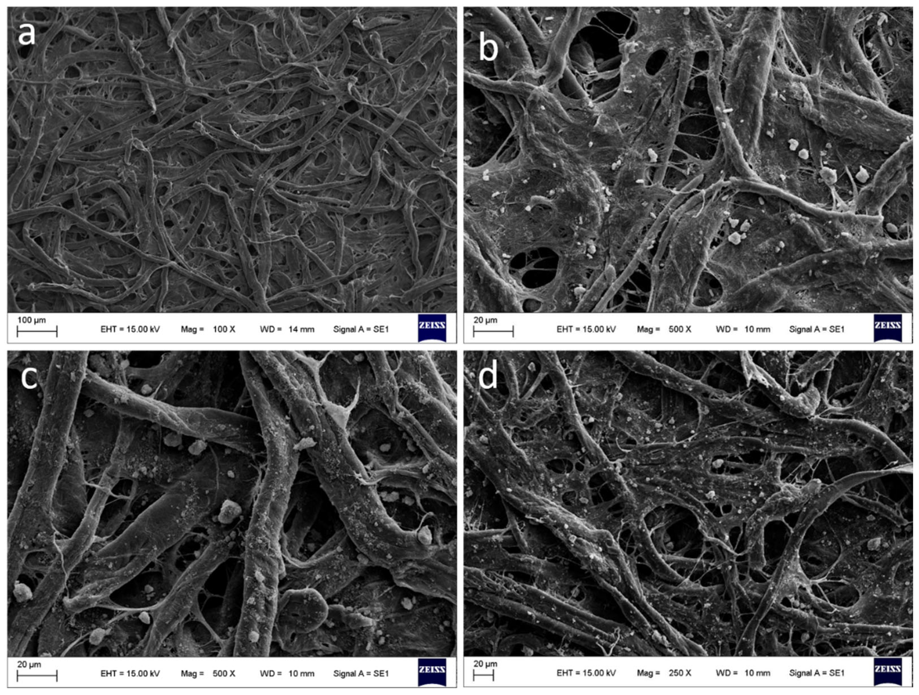 Chemosensors 12 00208 g003