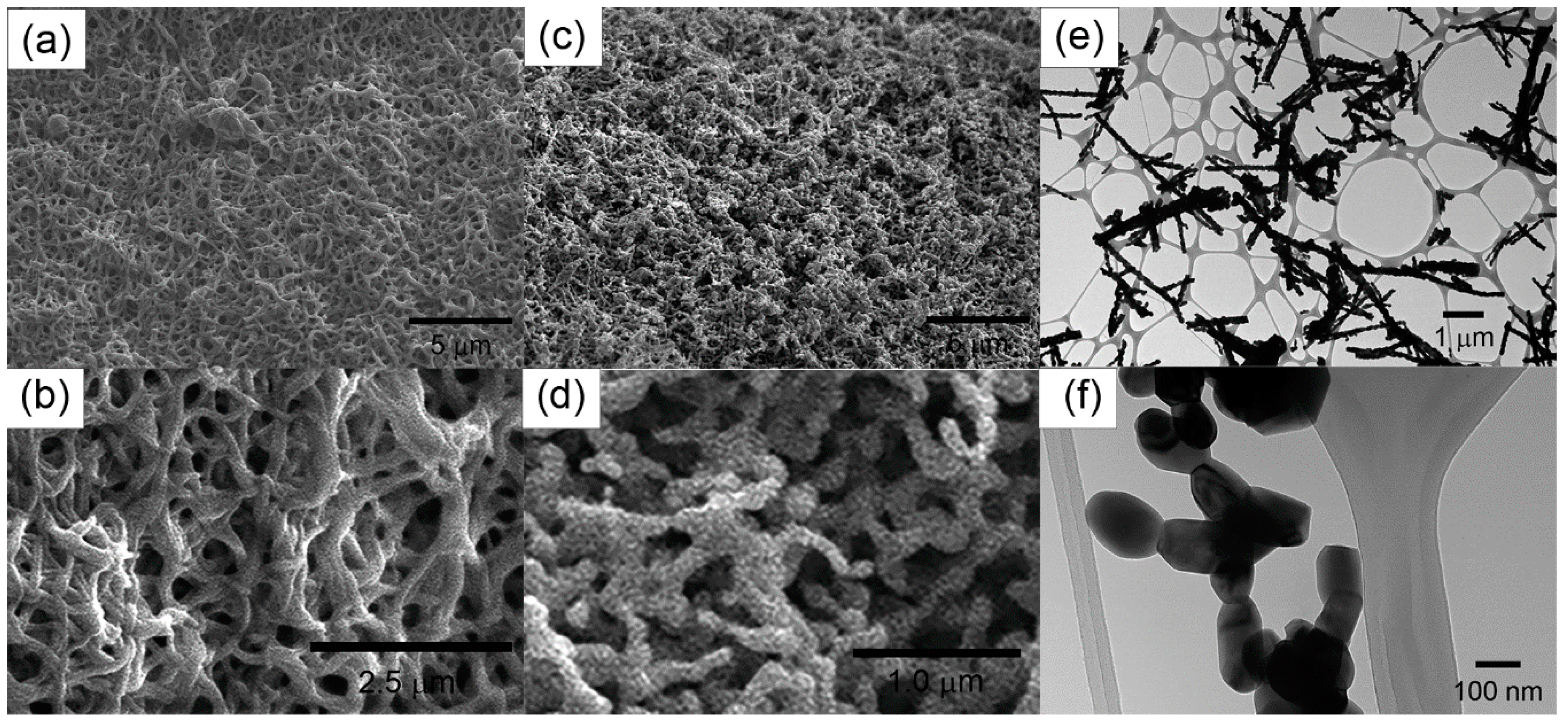 Chemosensors 12 00210 g003