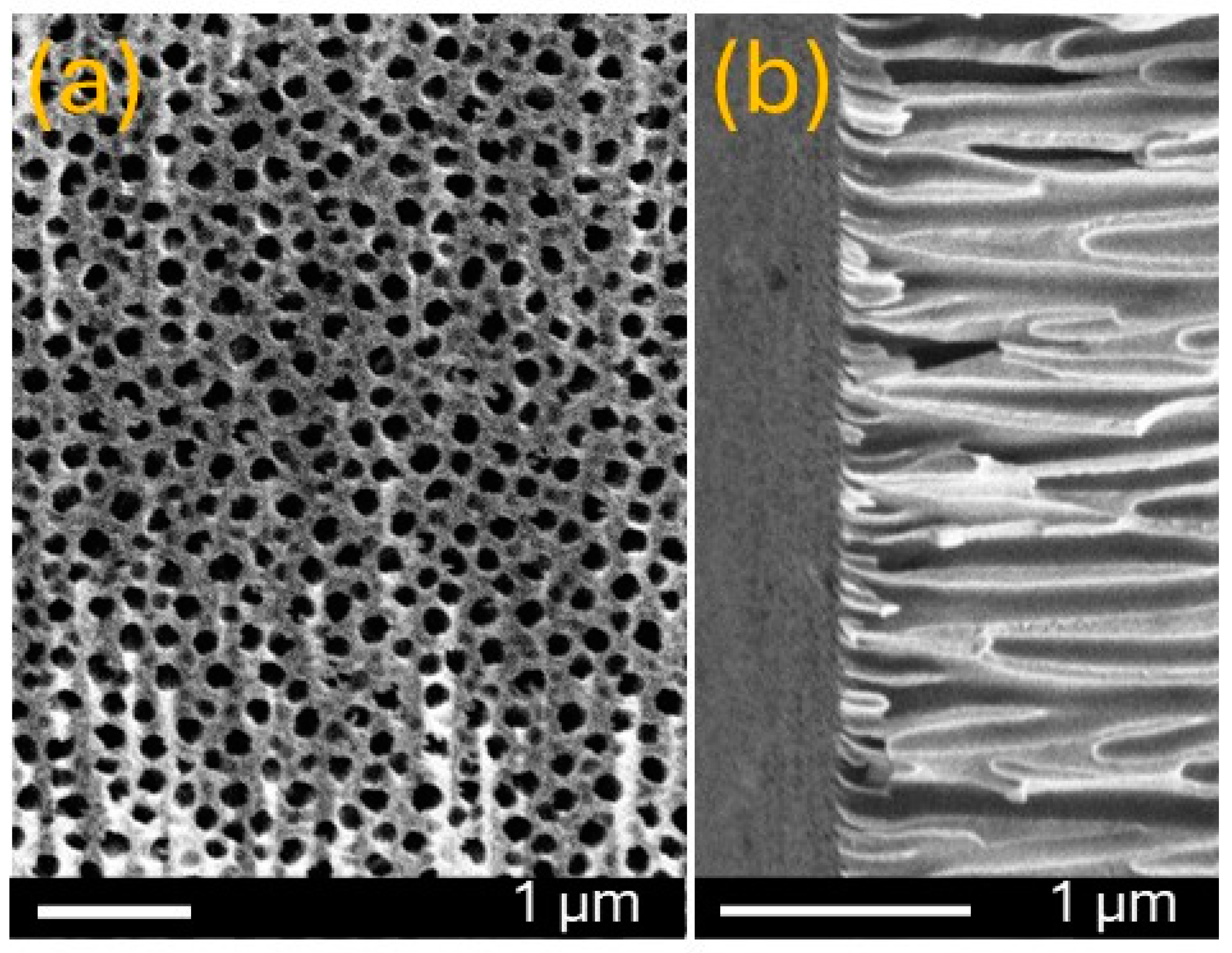 Chemosensors 12 00212 g002