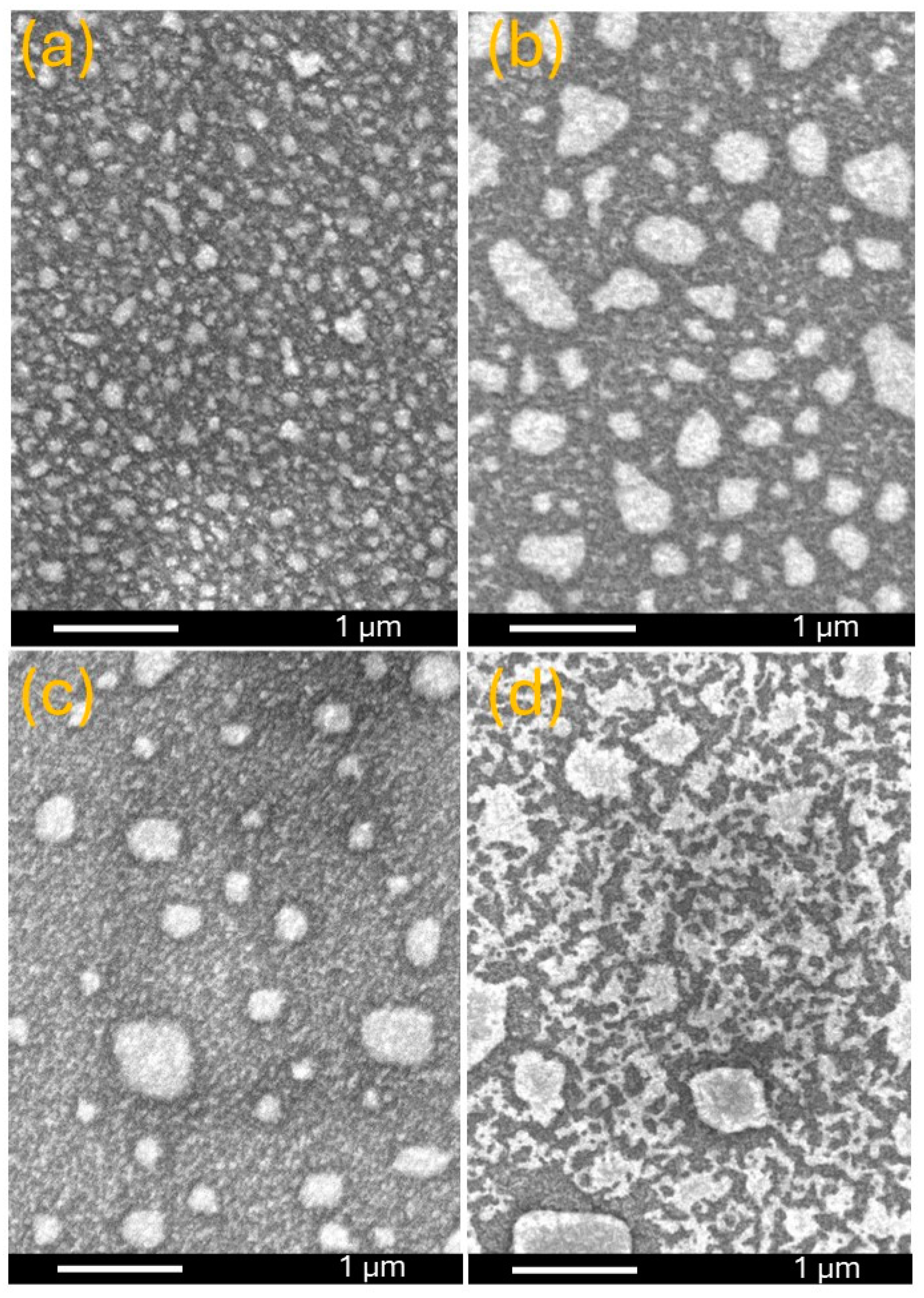 Chemosensors 12 00212 g008