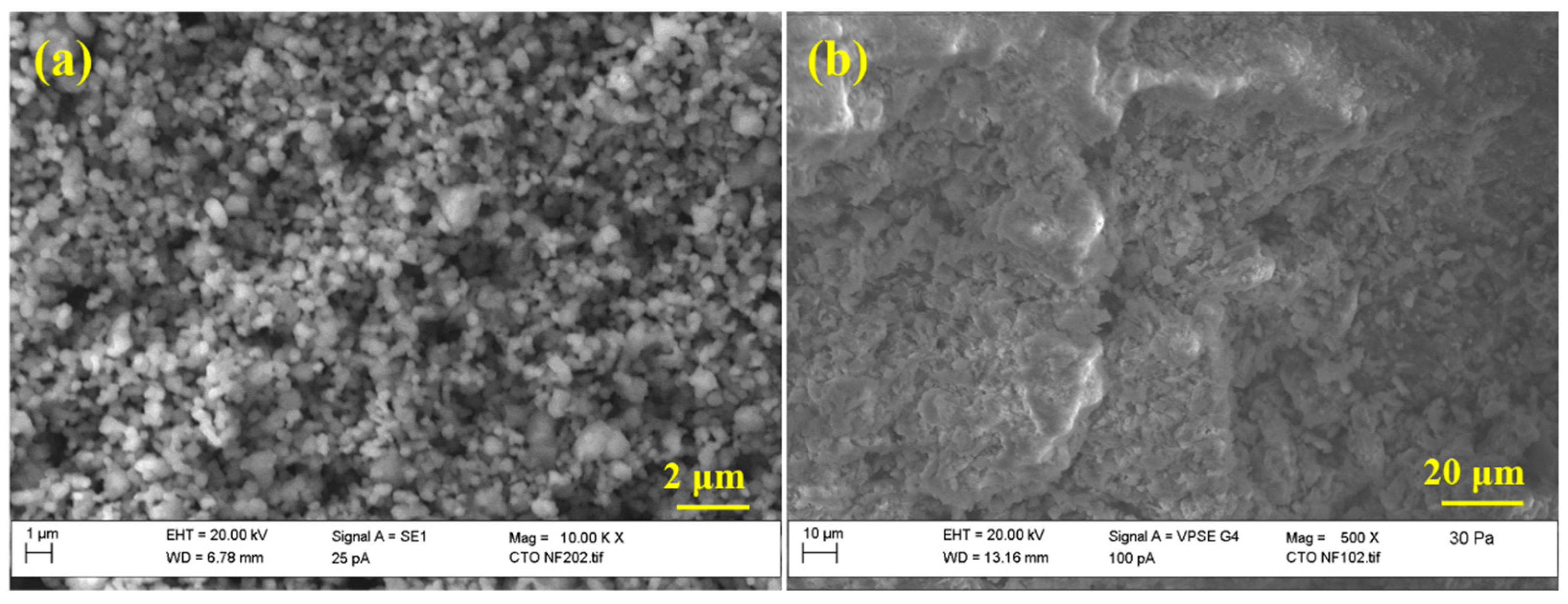Chemosensors 12 00218 g005
