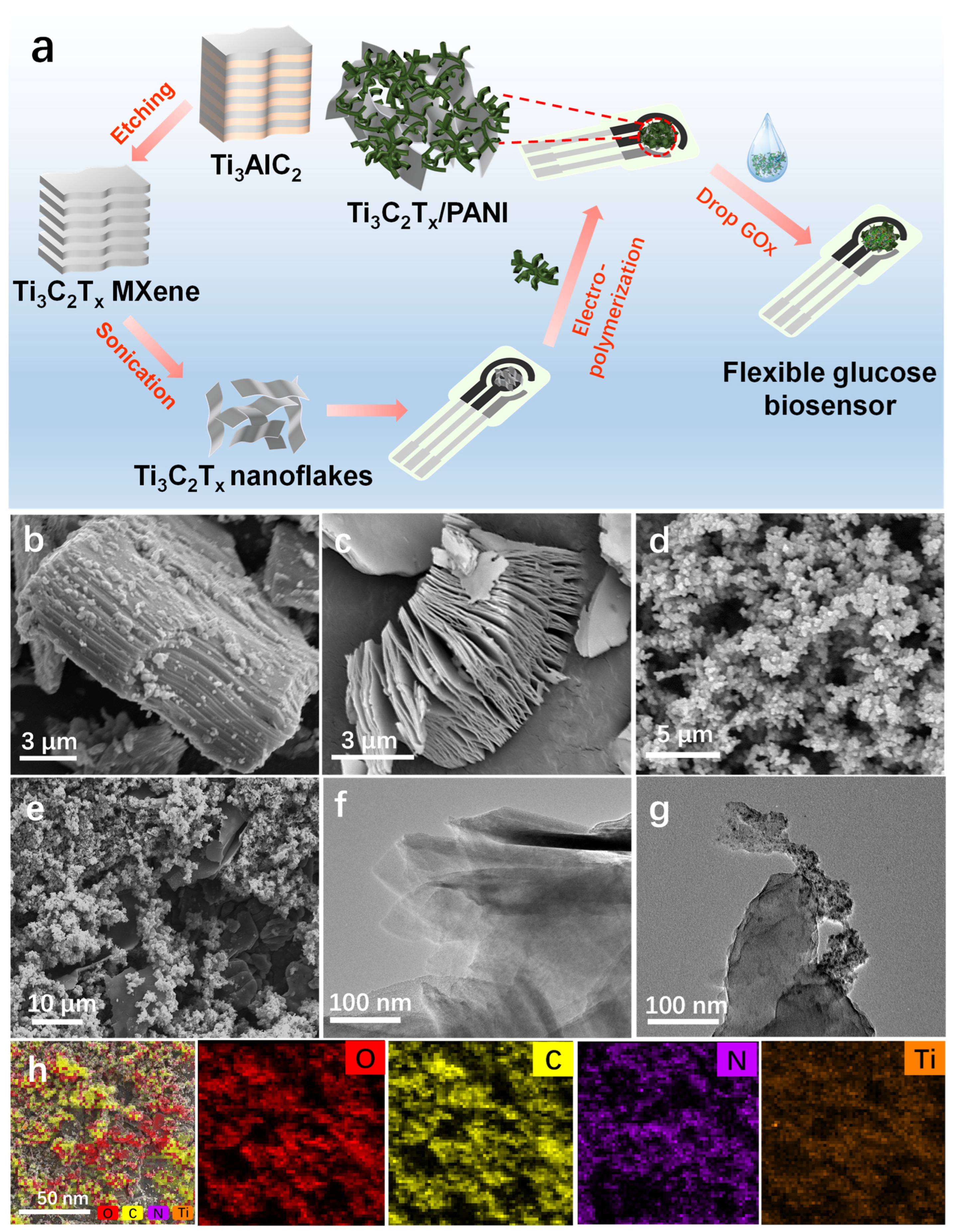 Chemosensors 12 00222 g001