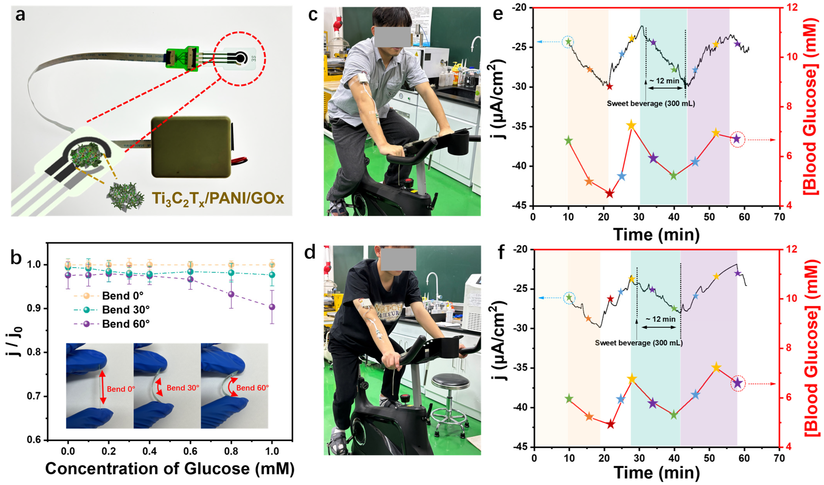 Chemosensors 12 00222 g006