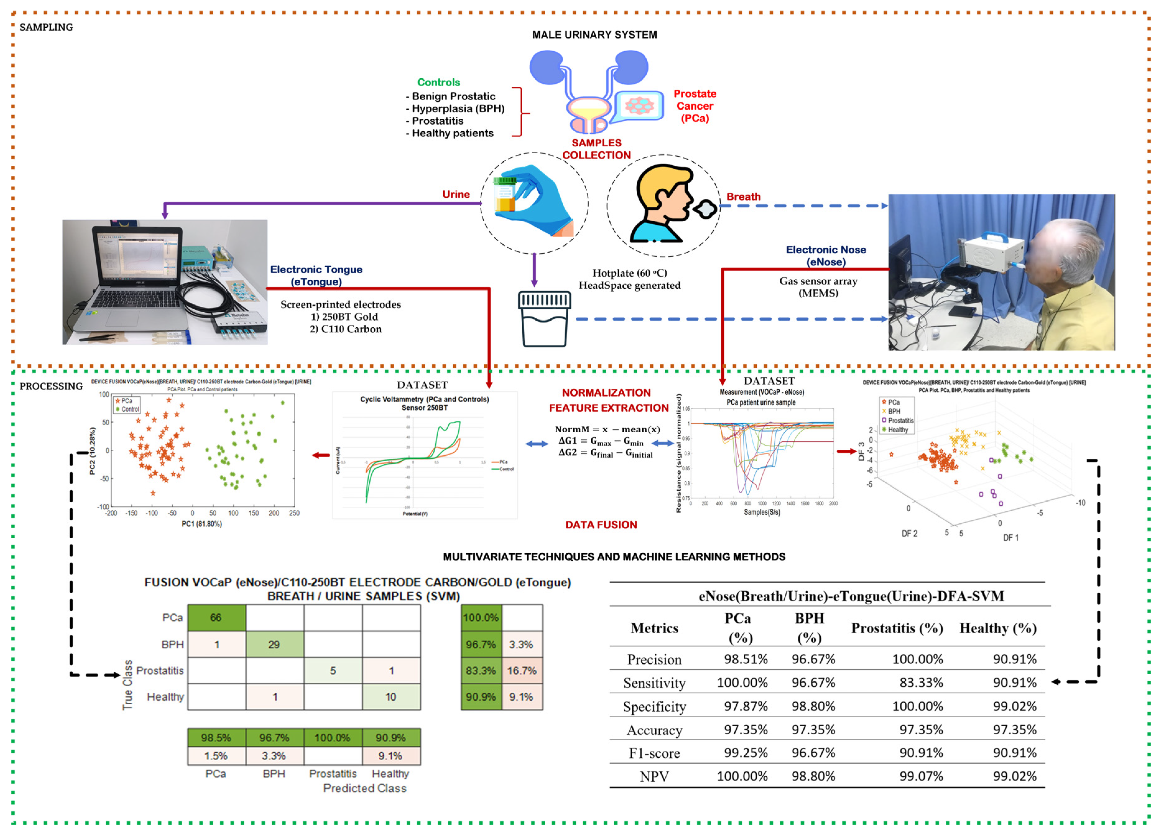 Chemosensors 12 00228 g001