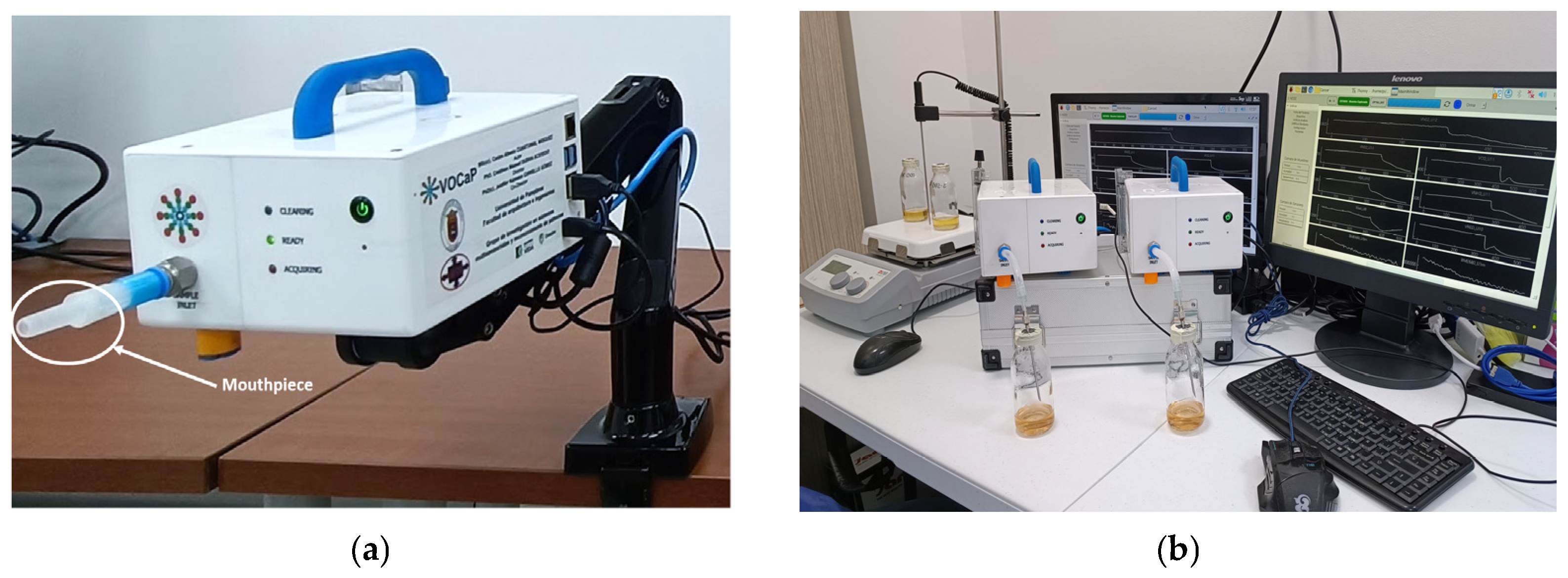 Chemosensors 12 00228 g002