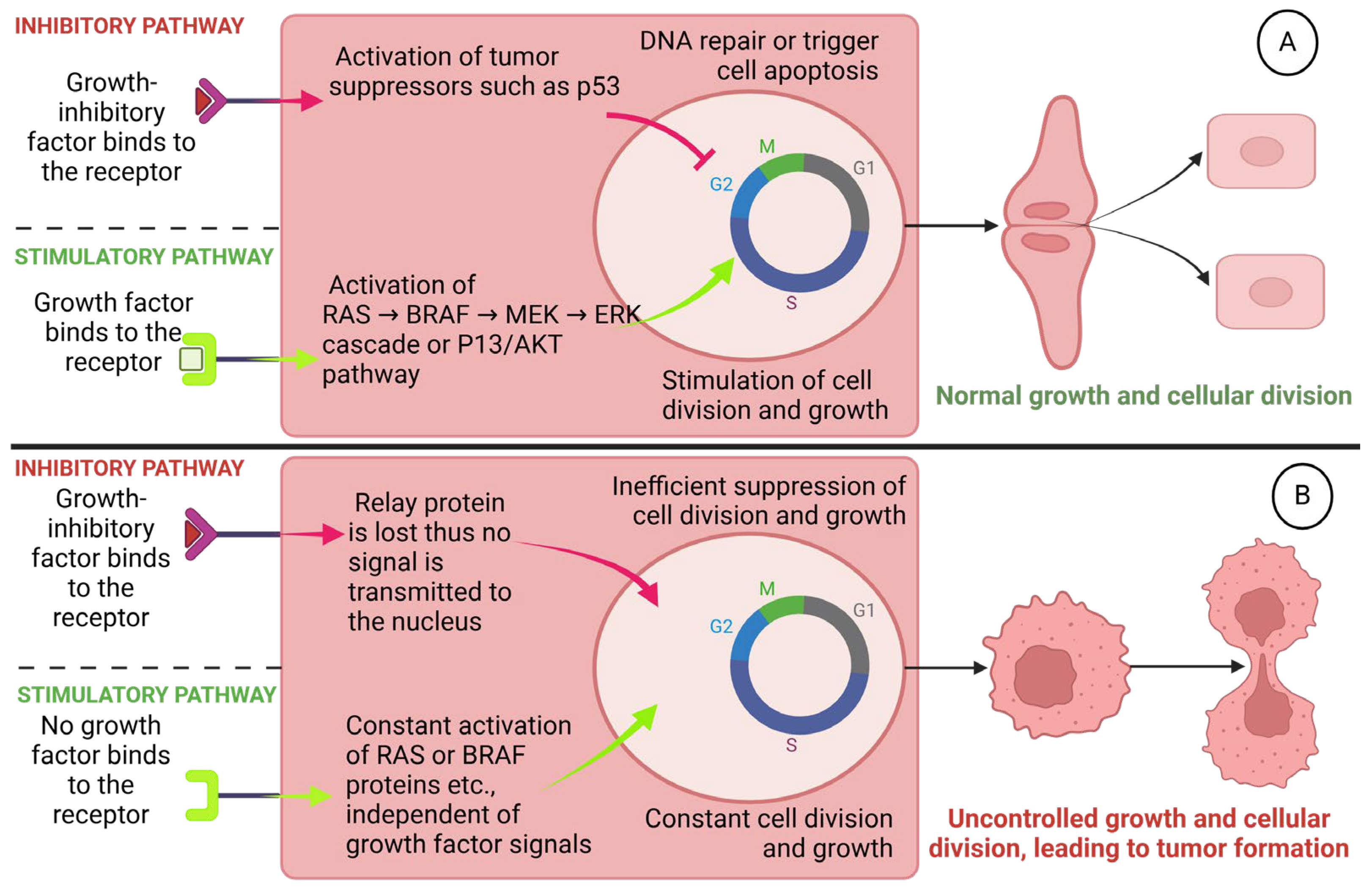 Chemosensors 12 00229 g002 Chemosensors 12 00229 g002