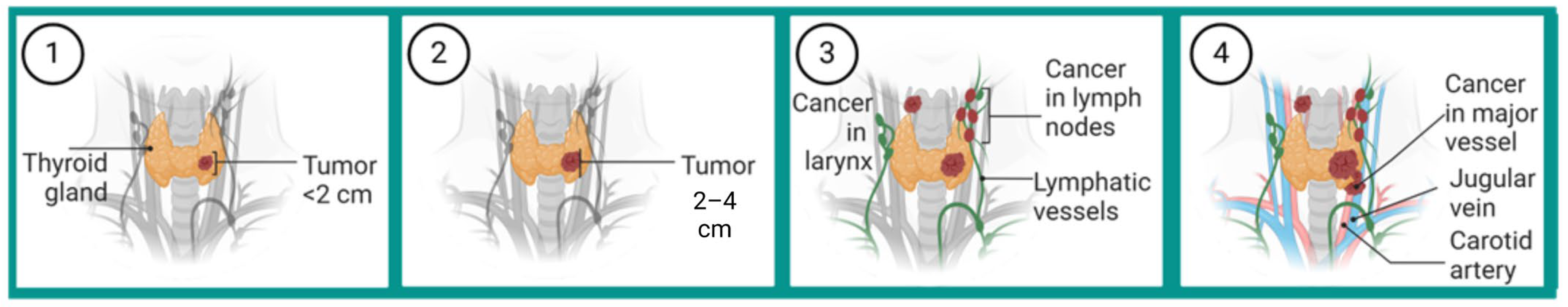 Chemosensors 12 00229 g004 Chemosensors 12 00229 g004
