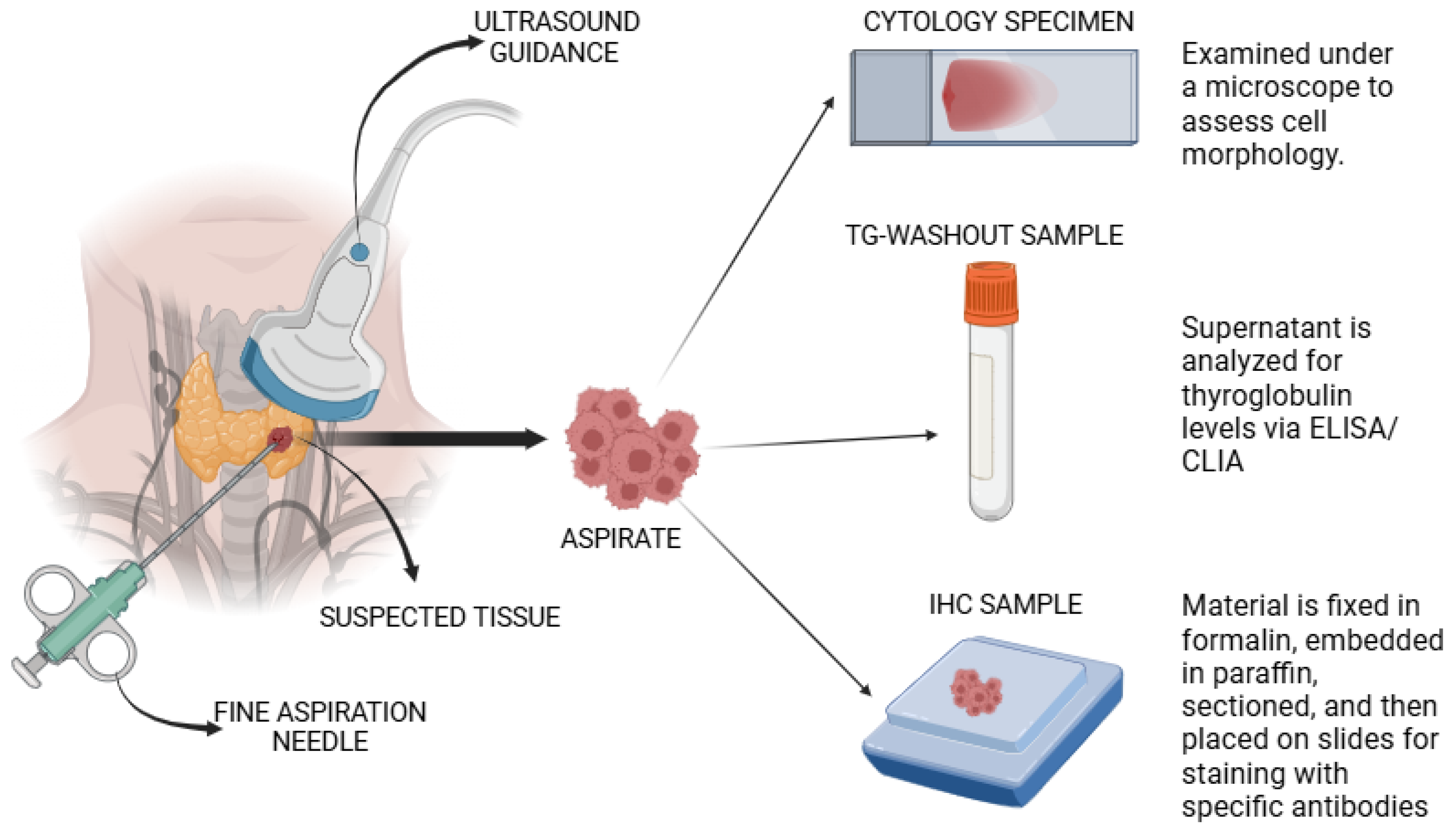 Chemosensors 12 00229 g009 Chemosensors 12 00229 g009