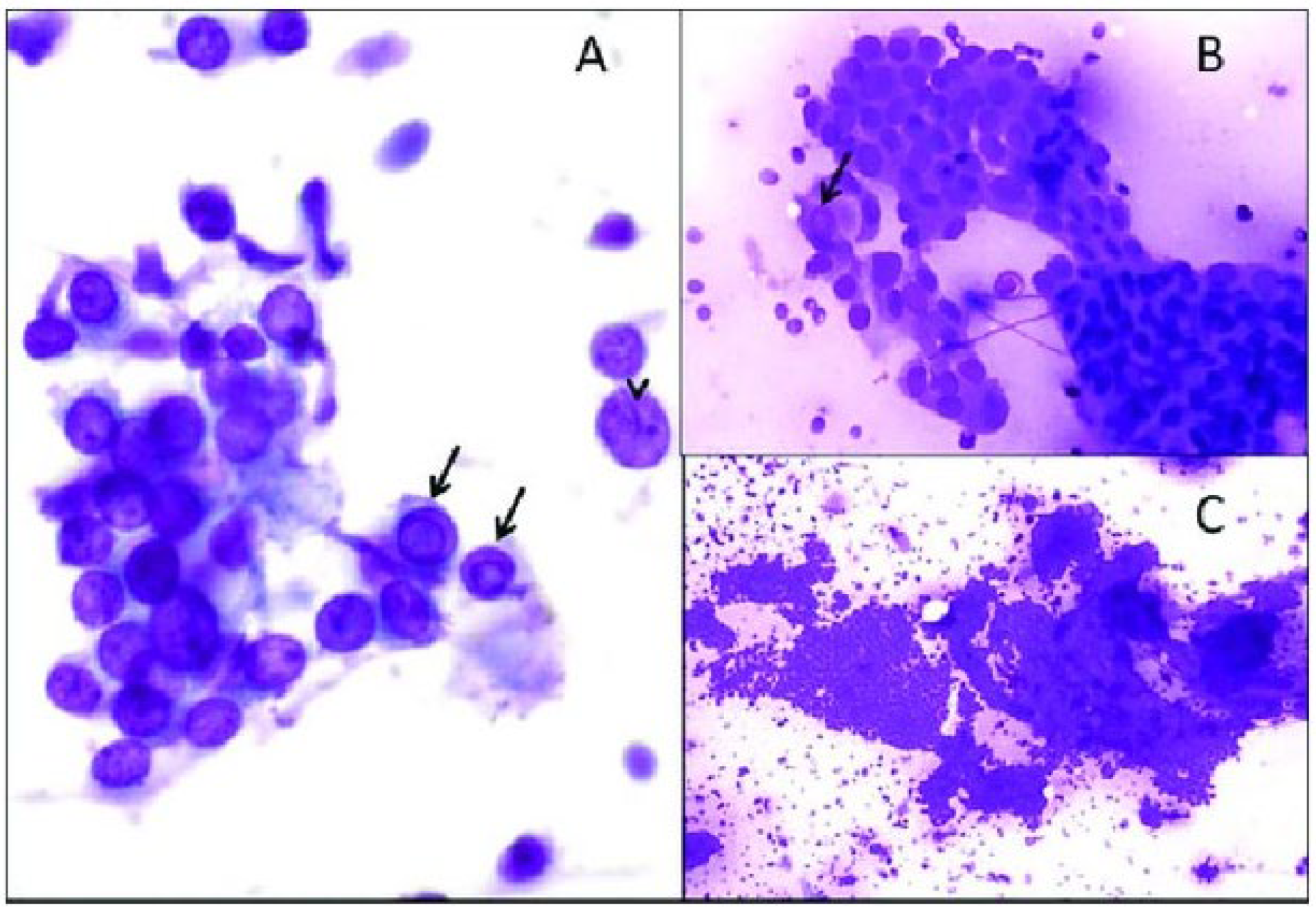 Chemosensors 12 00229 g010 Chemosensors 12 00229 g010