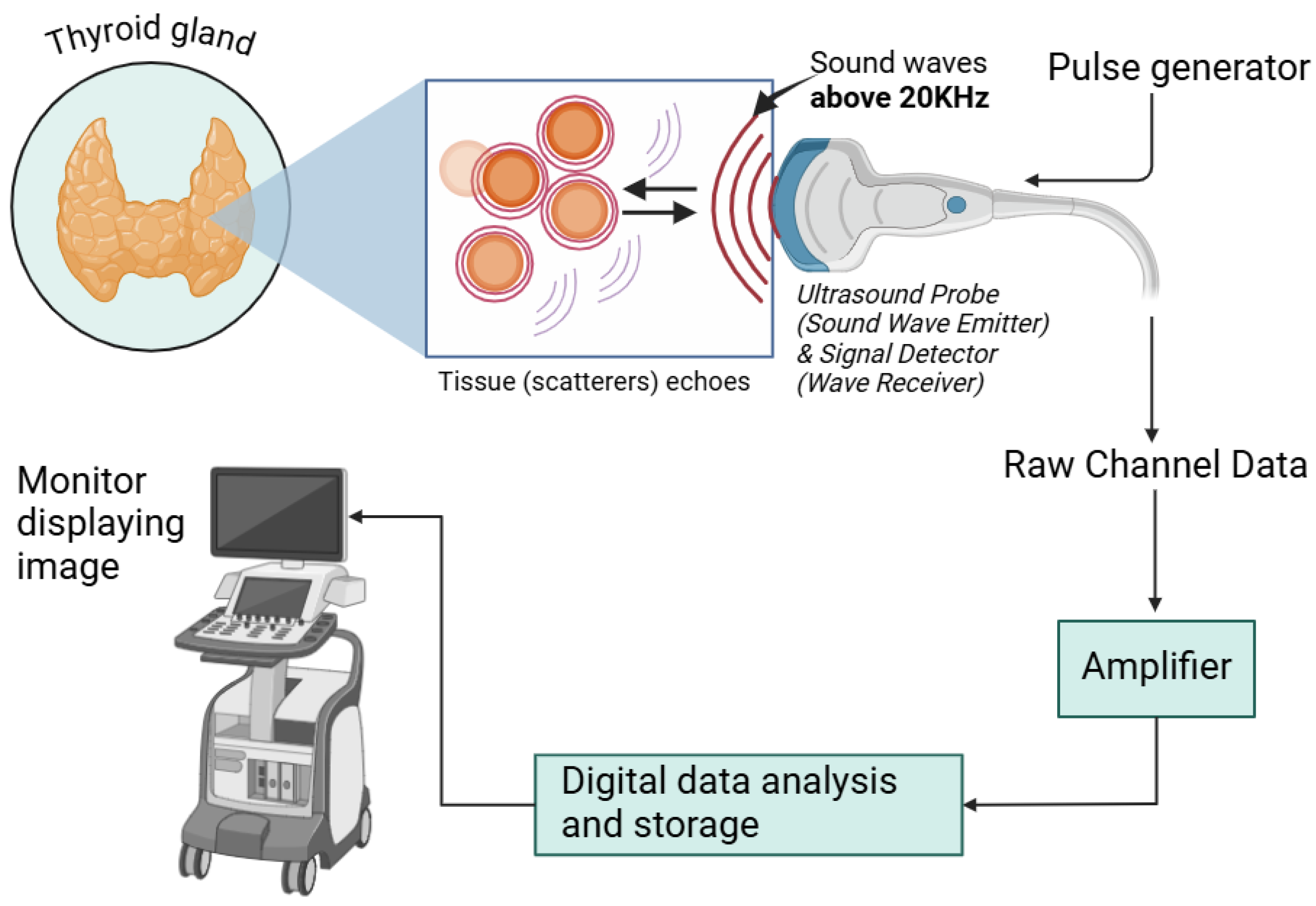 Chemosensors 12 00229 g013 Chemosensors 12 00229 g013