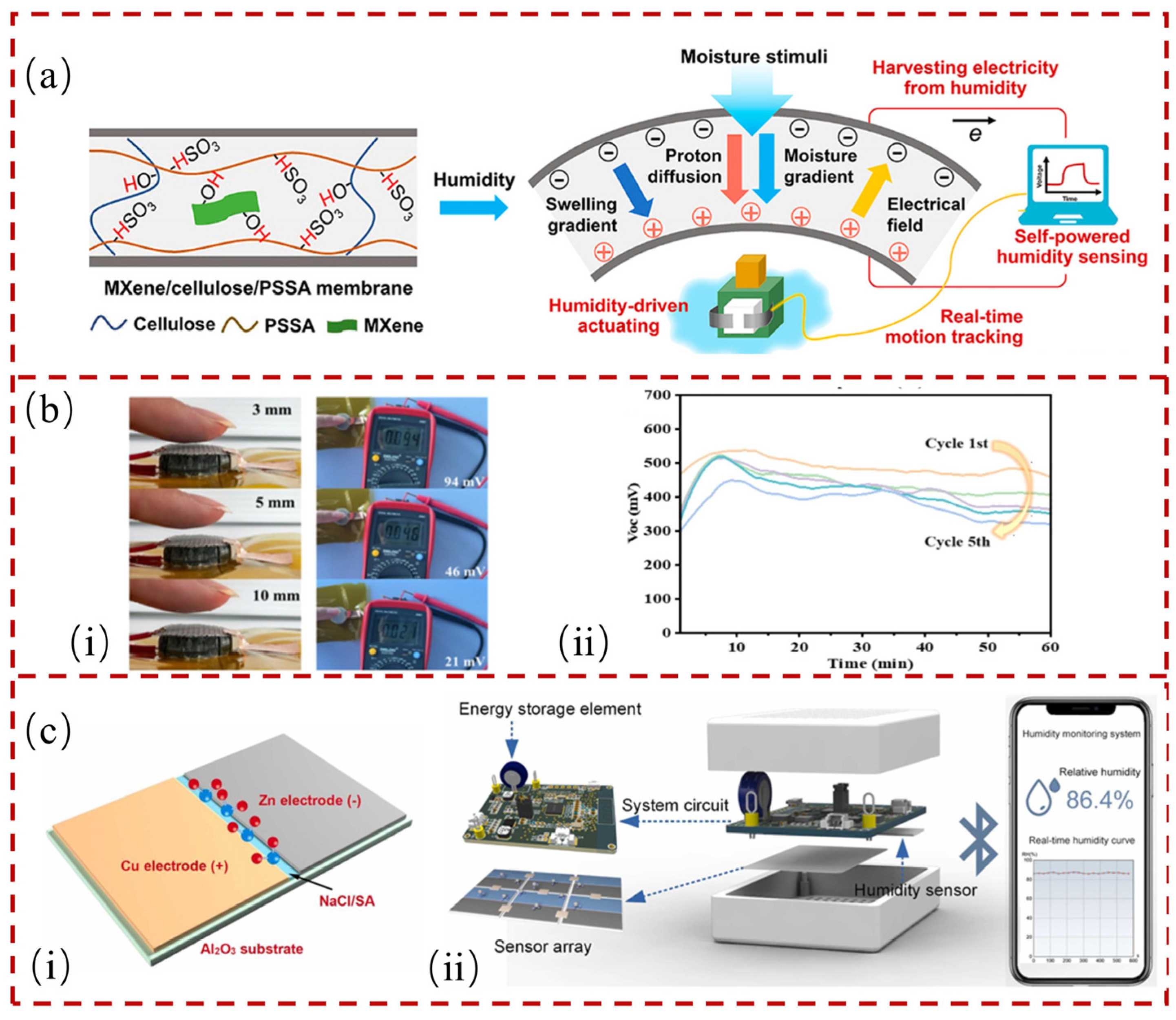Chemosensors 12 00230 g008
