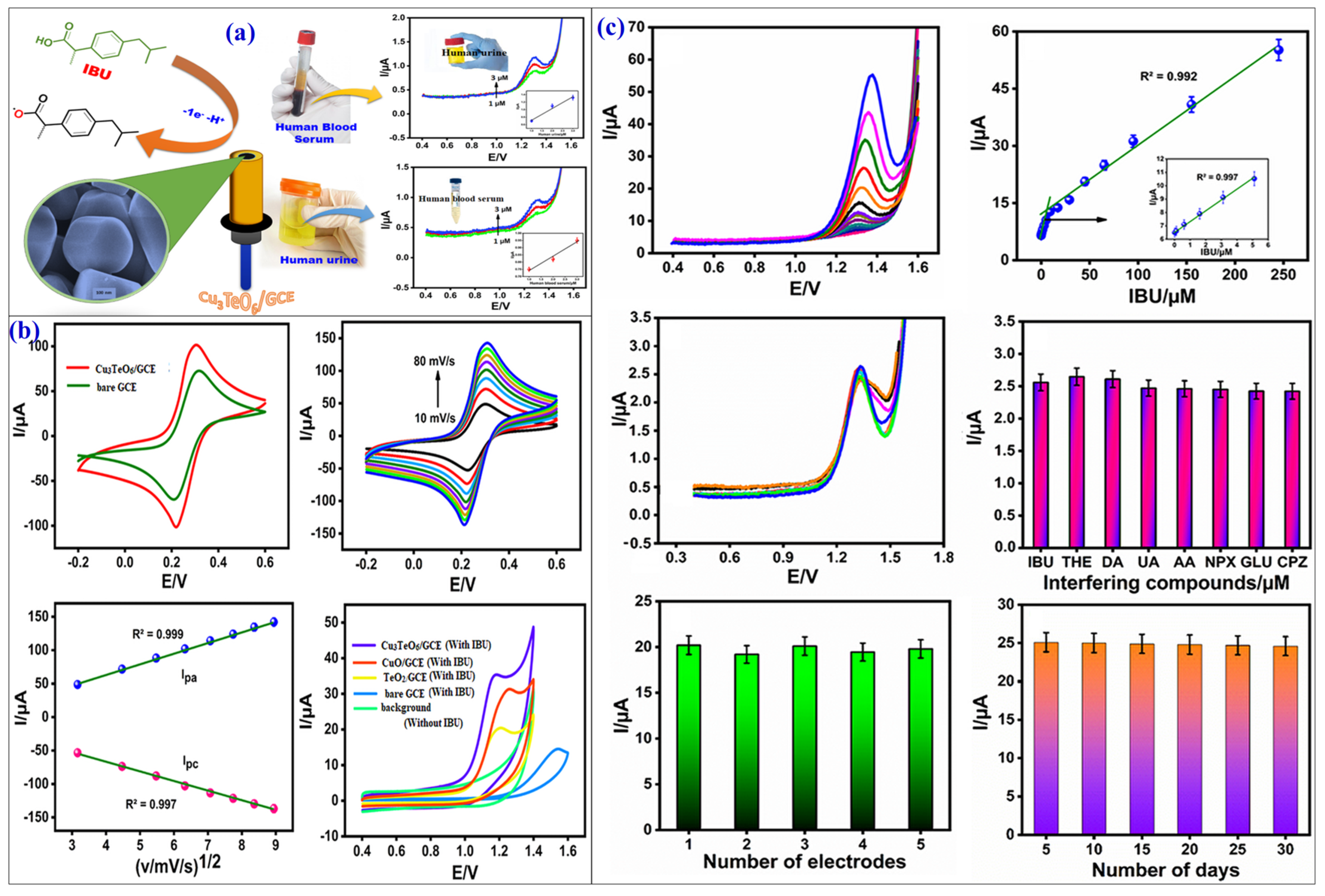 Chemosensors 12 00234 g004