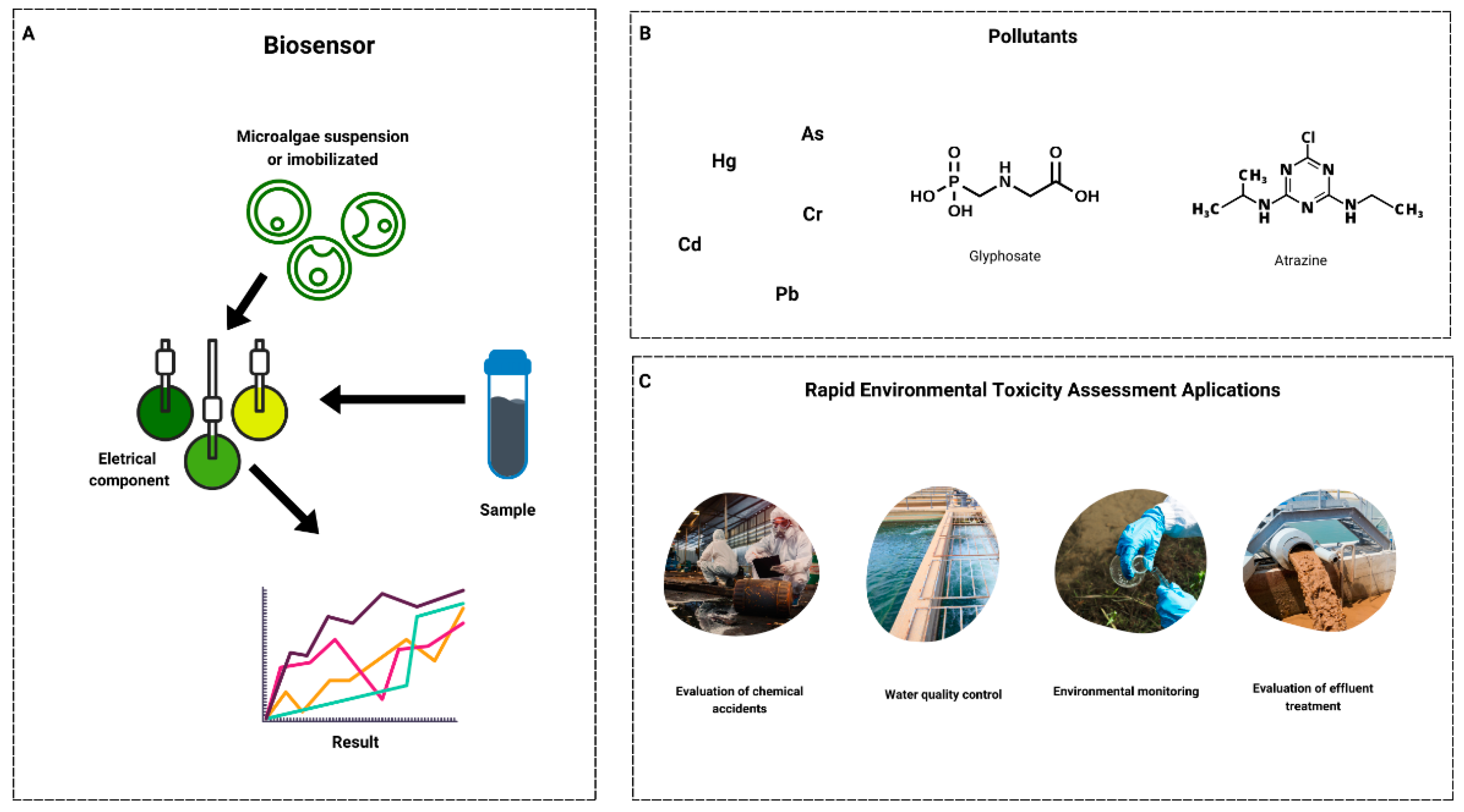 Chemosensors 12 00235 g001