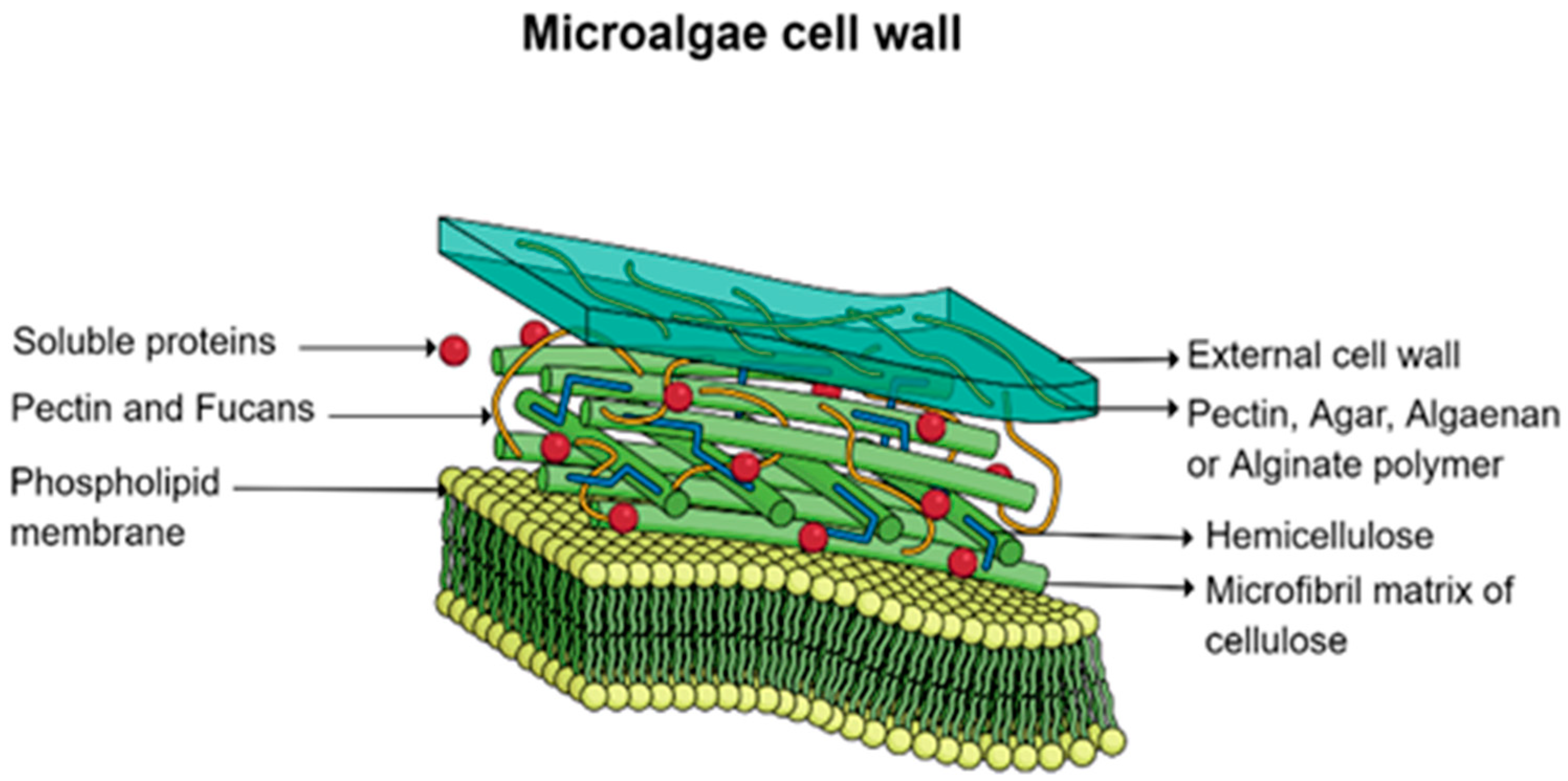 Chemosensors 12 00235 g002