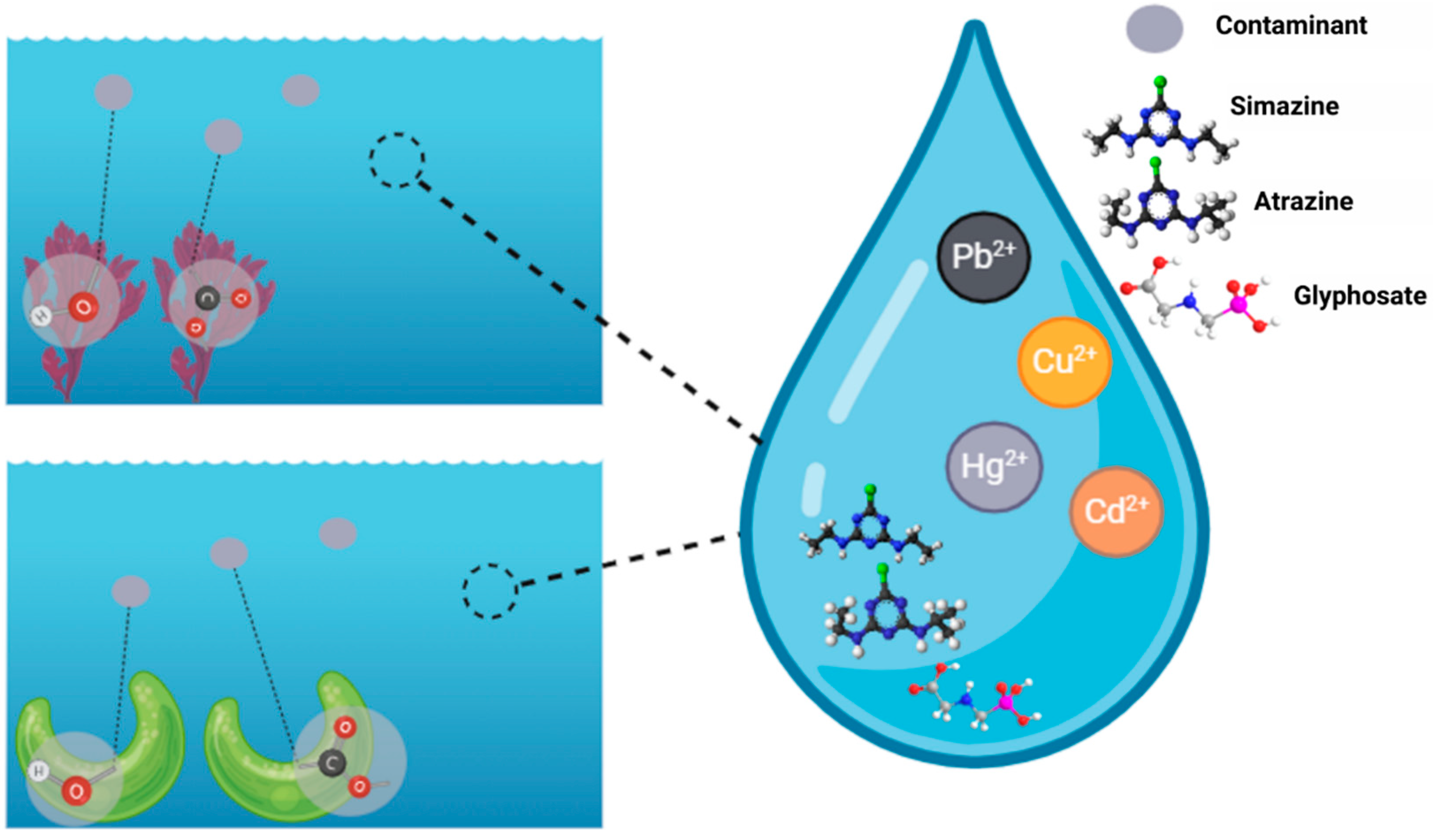 Chemosensors 12 00235 g003