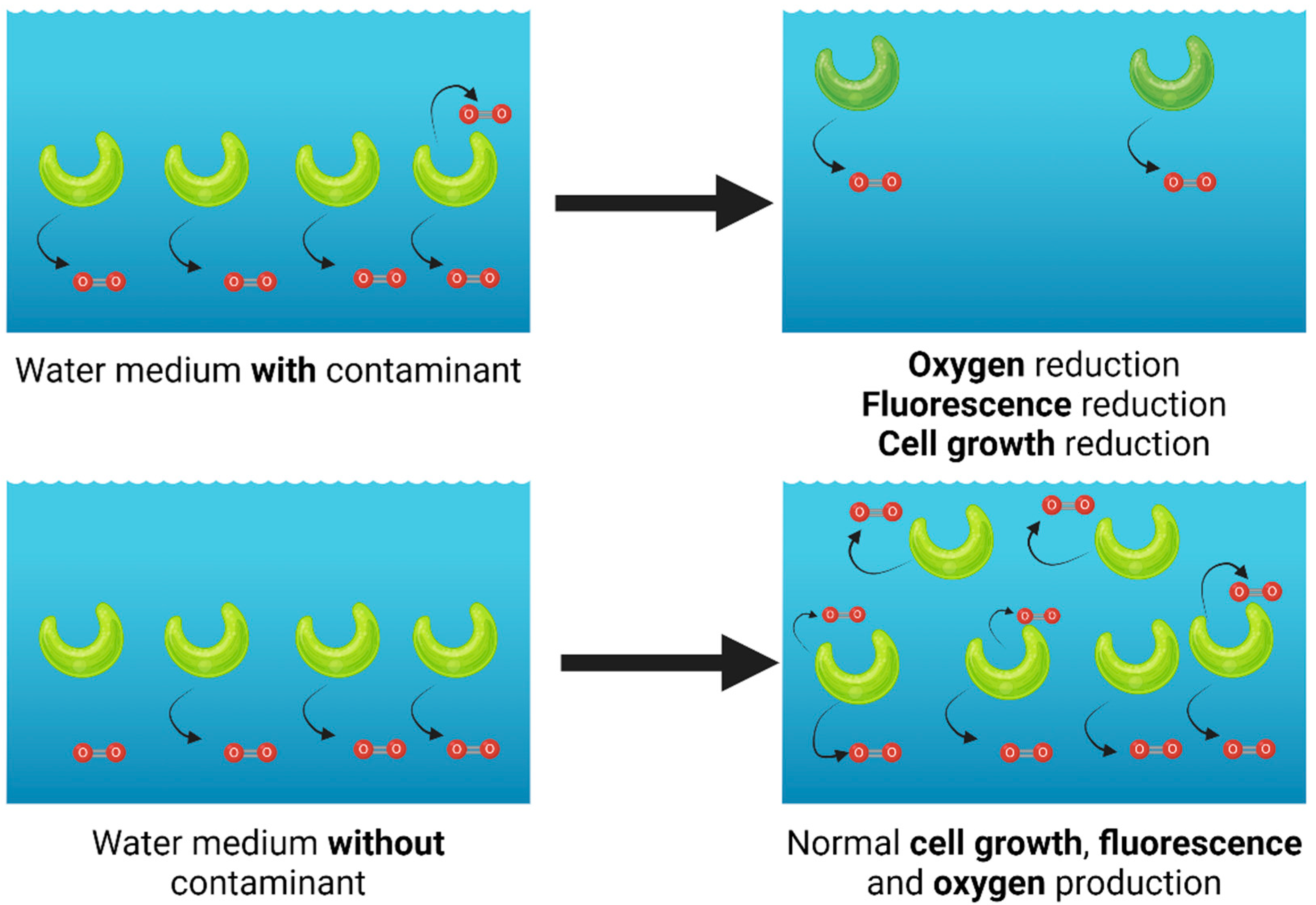 Chemosensors 12 00235 g004